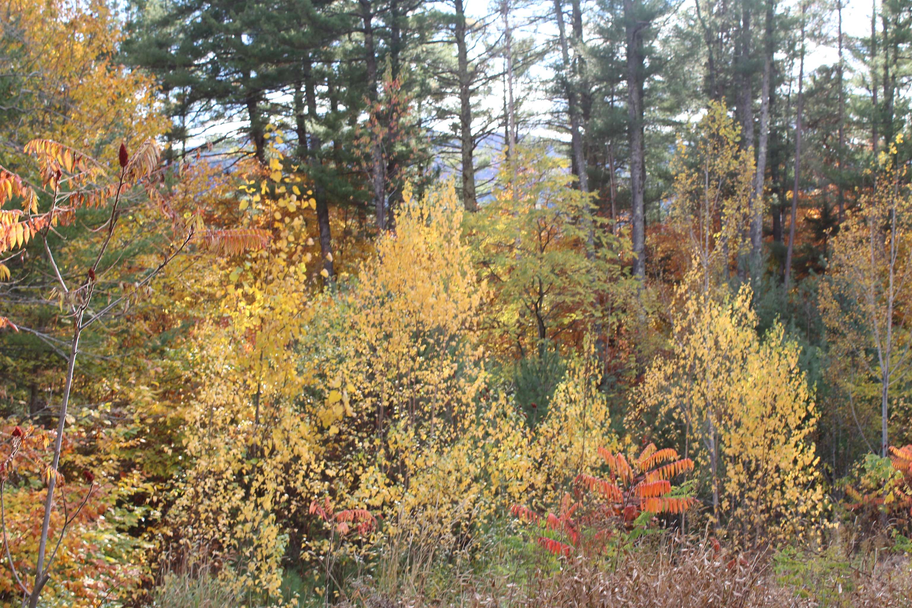 3 Beechwoods Drive Unit: 3