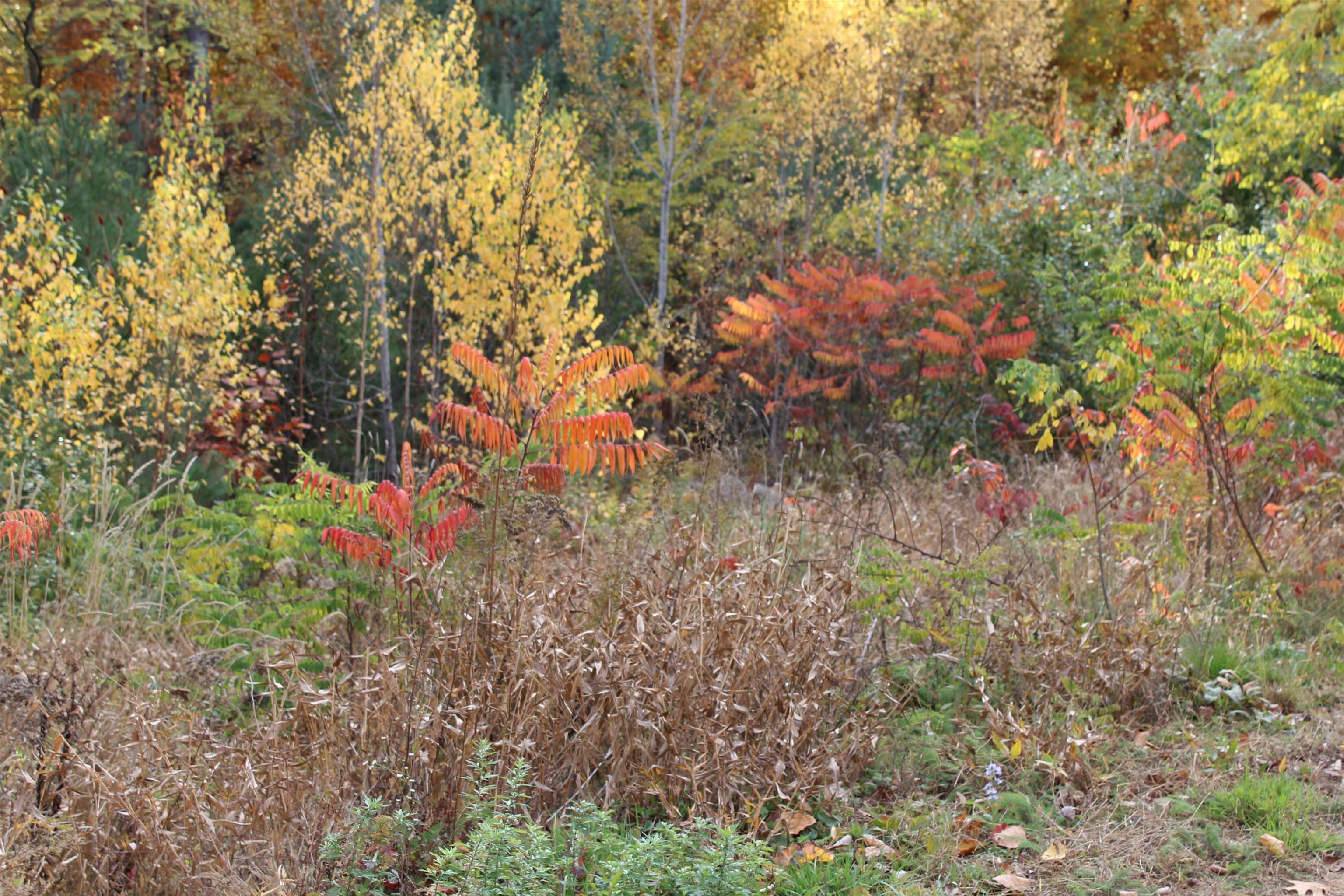 3 Beechwoods Drive Unit: 3