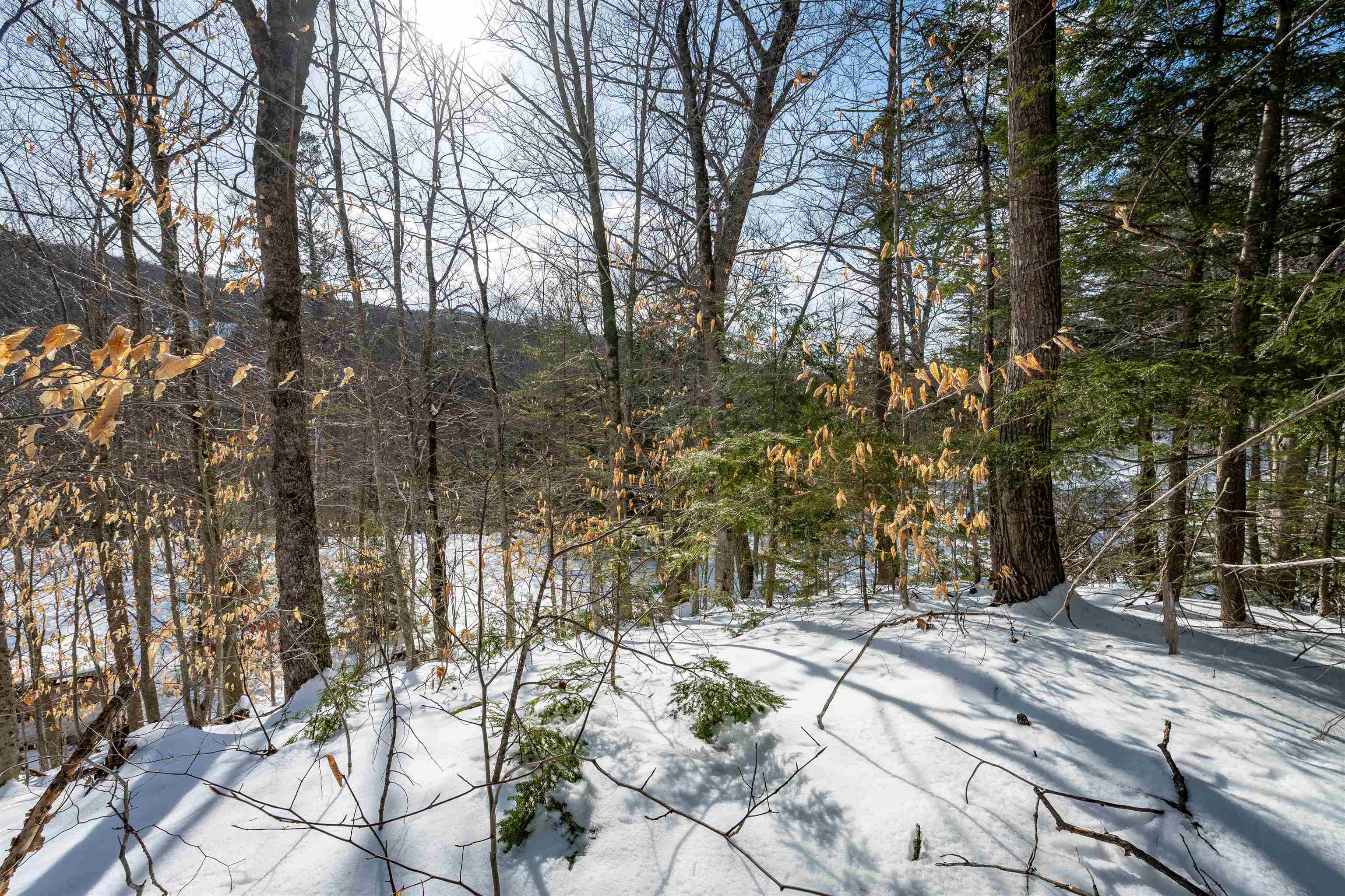 4 St Martins Drive Unit: Map R12/Parcel 133 & Map V01/Parcel 21