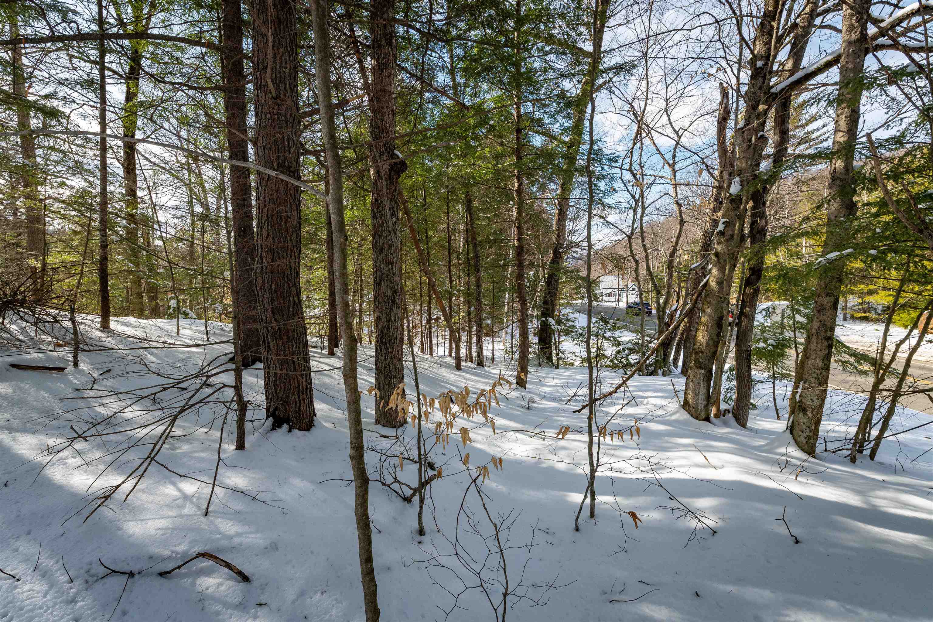 4 St Martins Drive Unit: Map R12/Parcel 133 & Map V01/Parcel 21