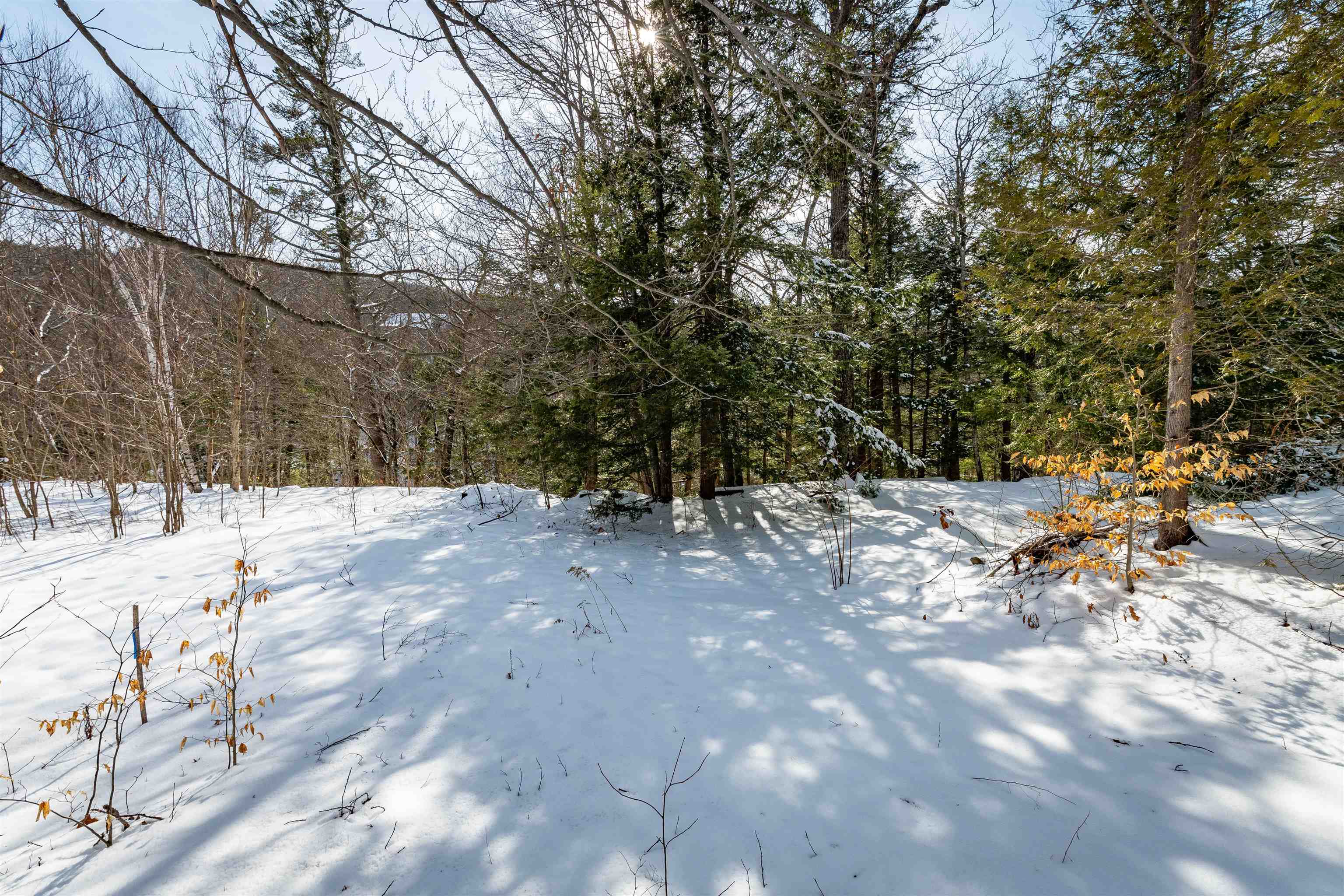 4 St Martins Drive Unit: Map R12/Parcel 133 & Map V01/Parcel 21