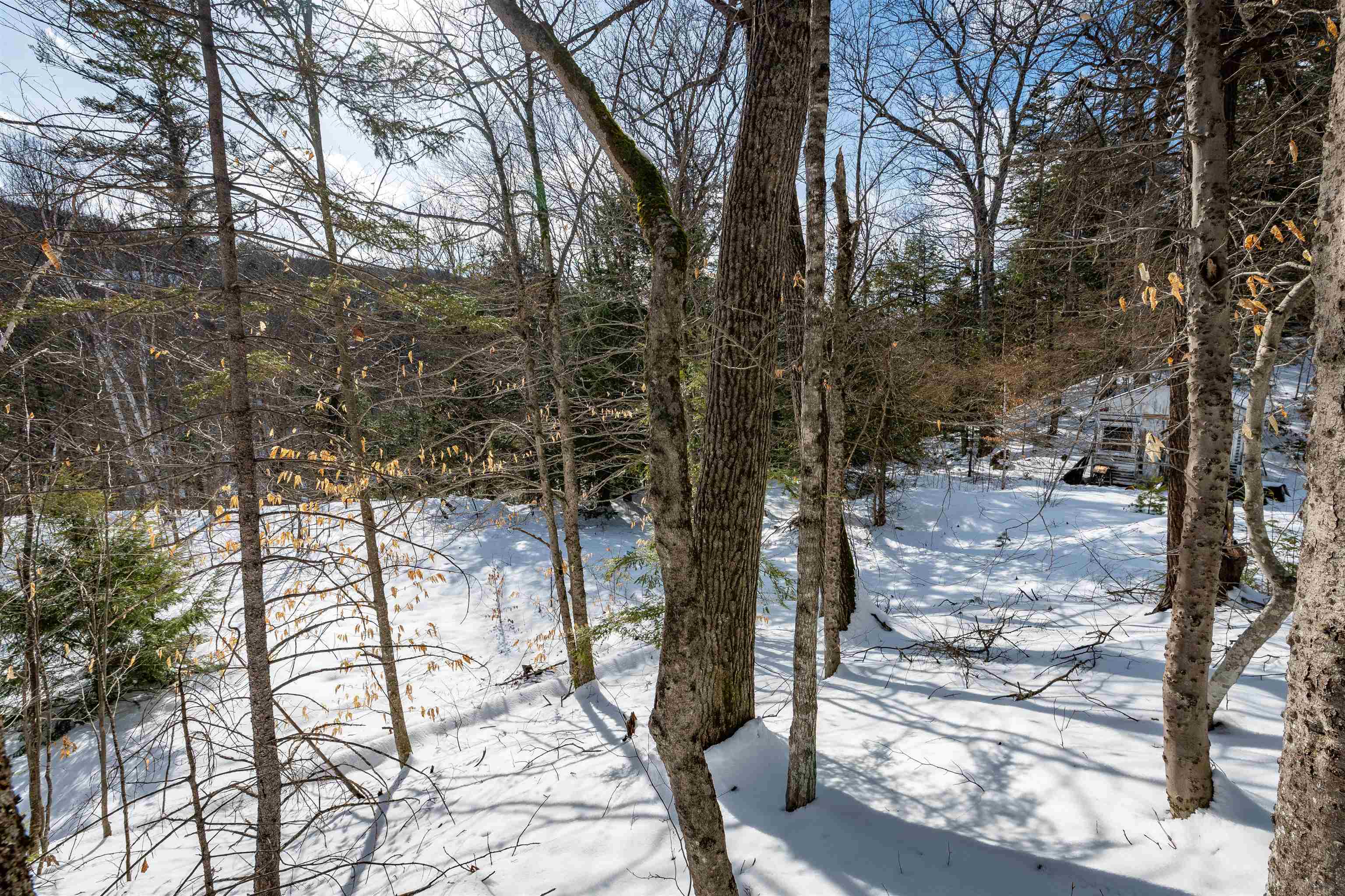 4 St Martins Drive Unit: Map R12/Parcel 133 & Map V01/Parcel 21