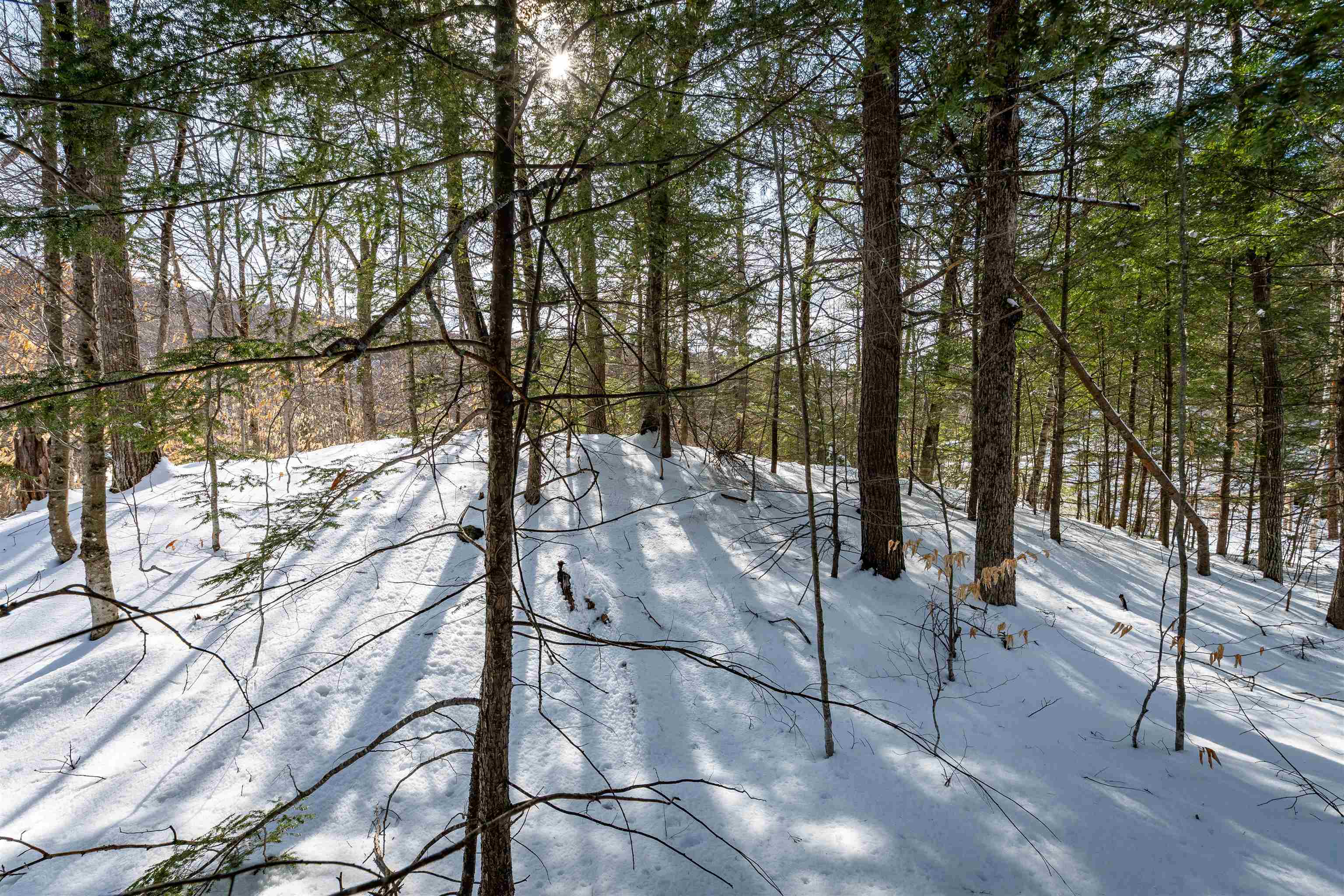 4 St Martins Drive Unit: Map R12/Parcel 133 & Map V01/Parcel 21