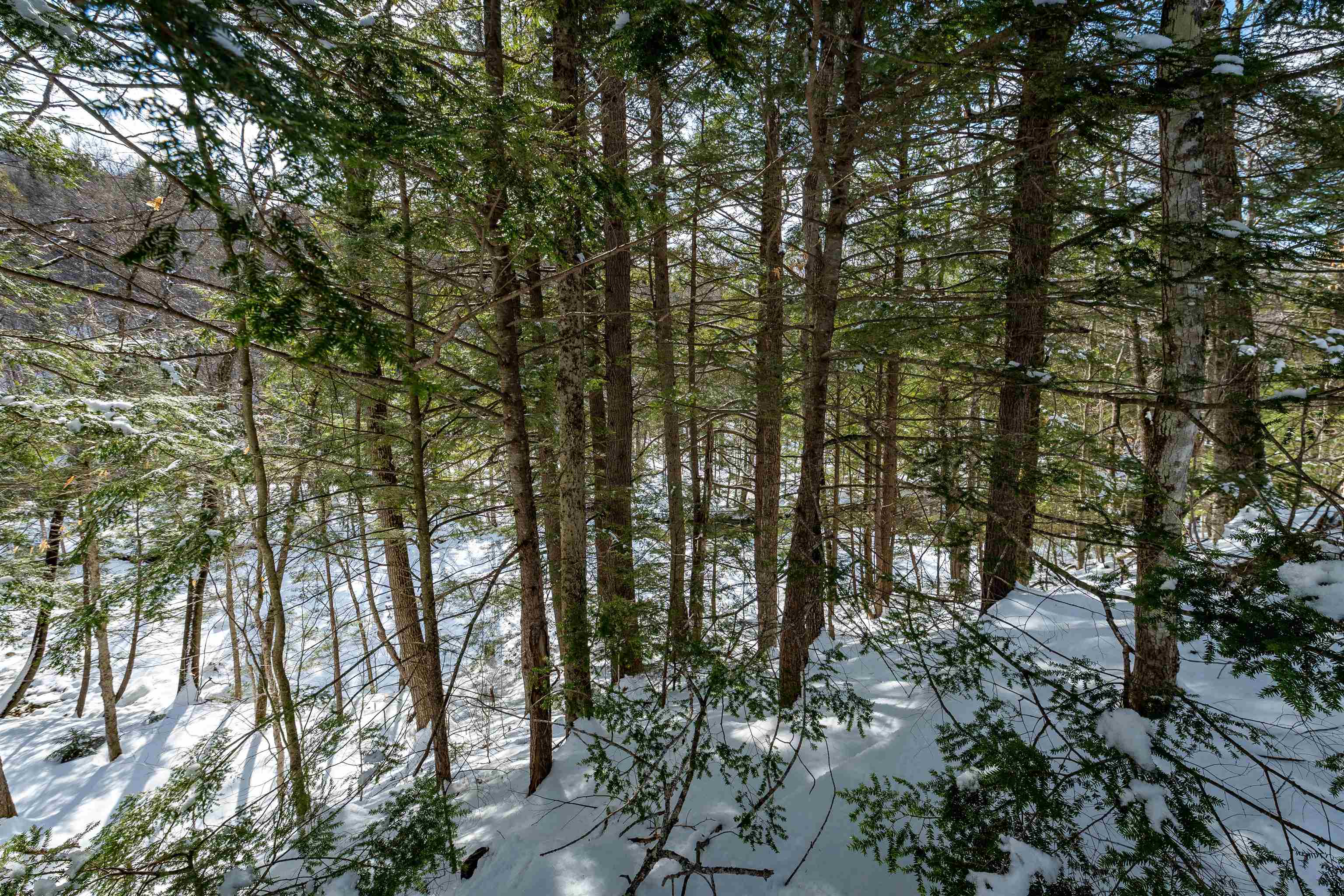 4 St Martins Drive Unit: Map R12/Parcel 133 & Map V01/Parcel 21