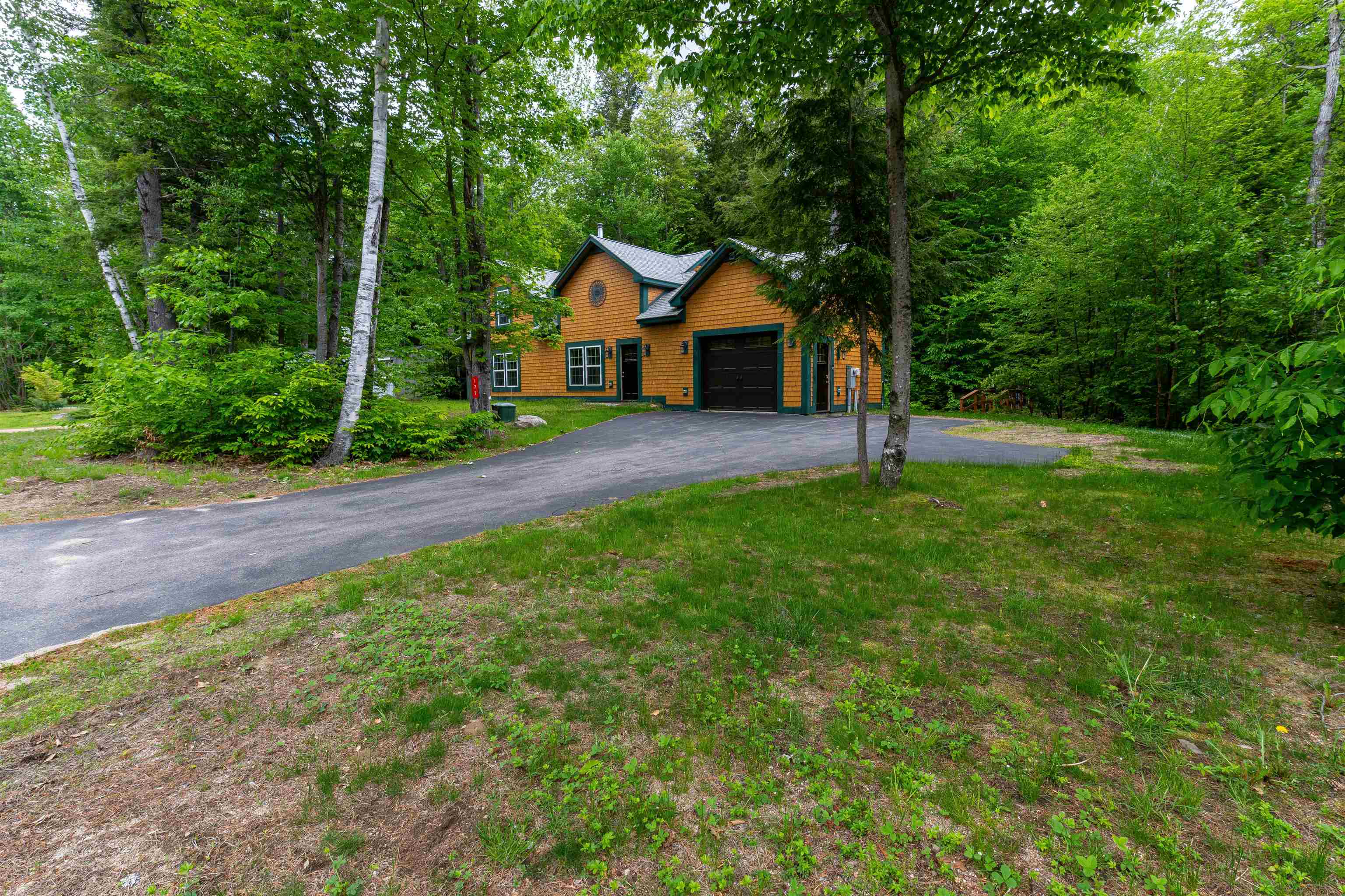 177 Alpstrausse