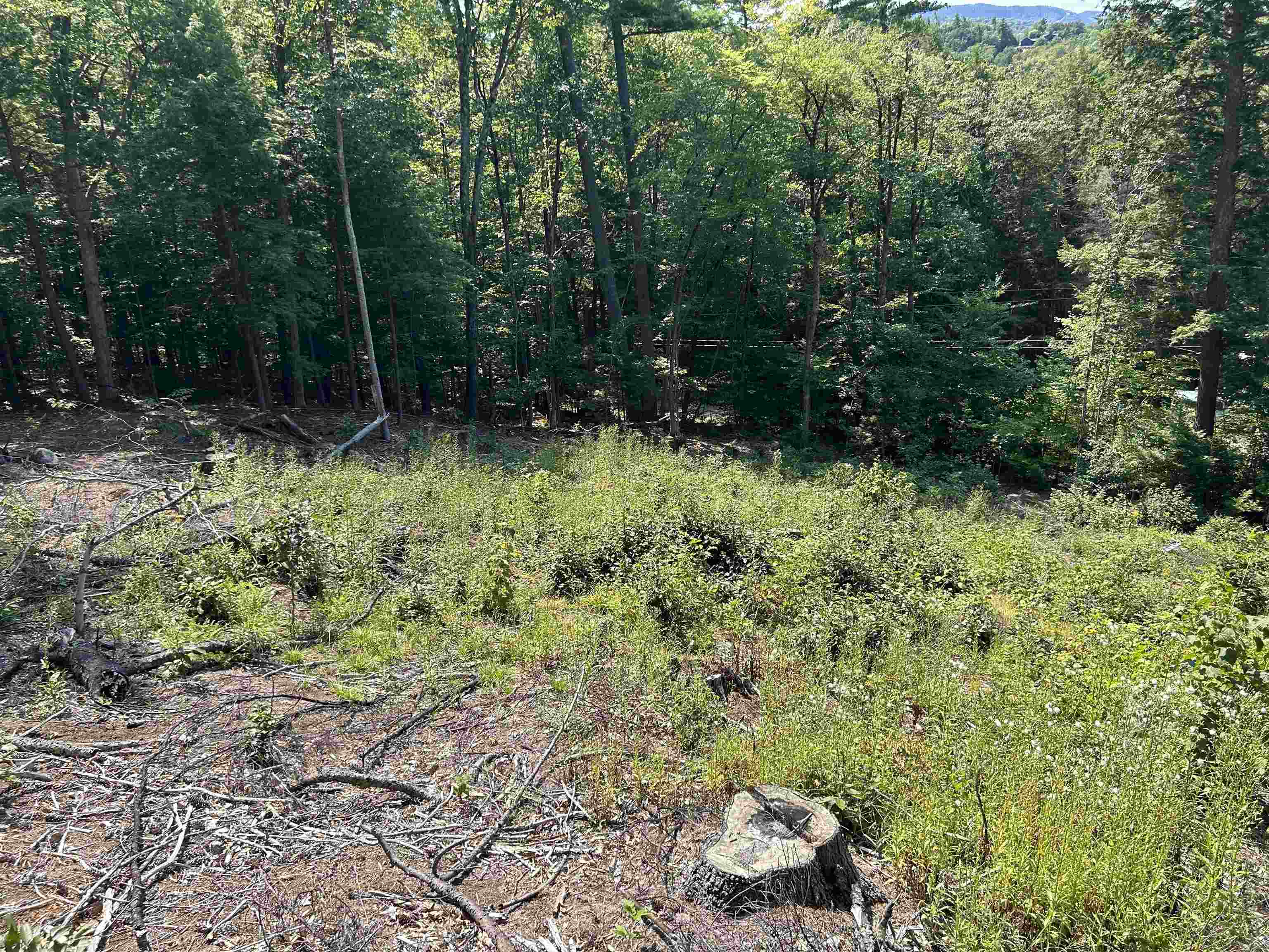 543 Thorn Hill Road