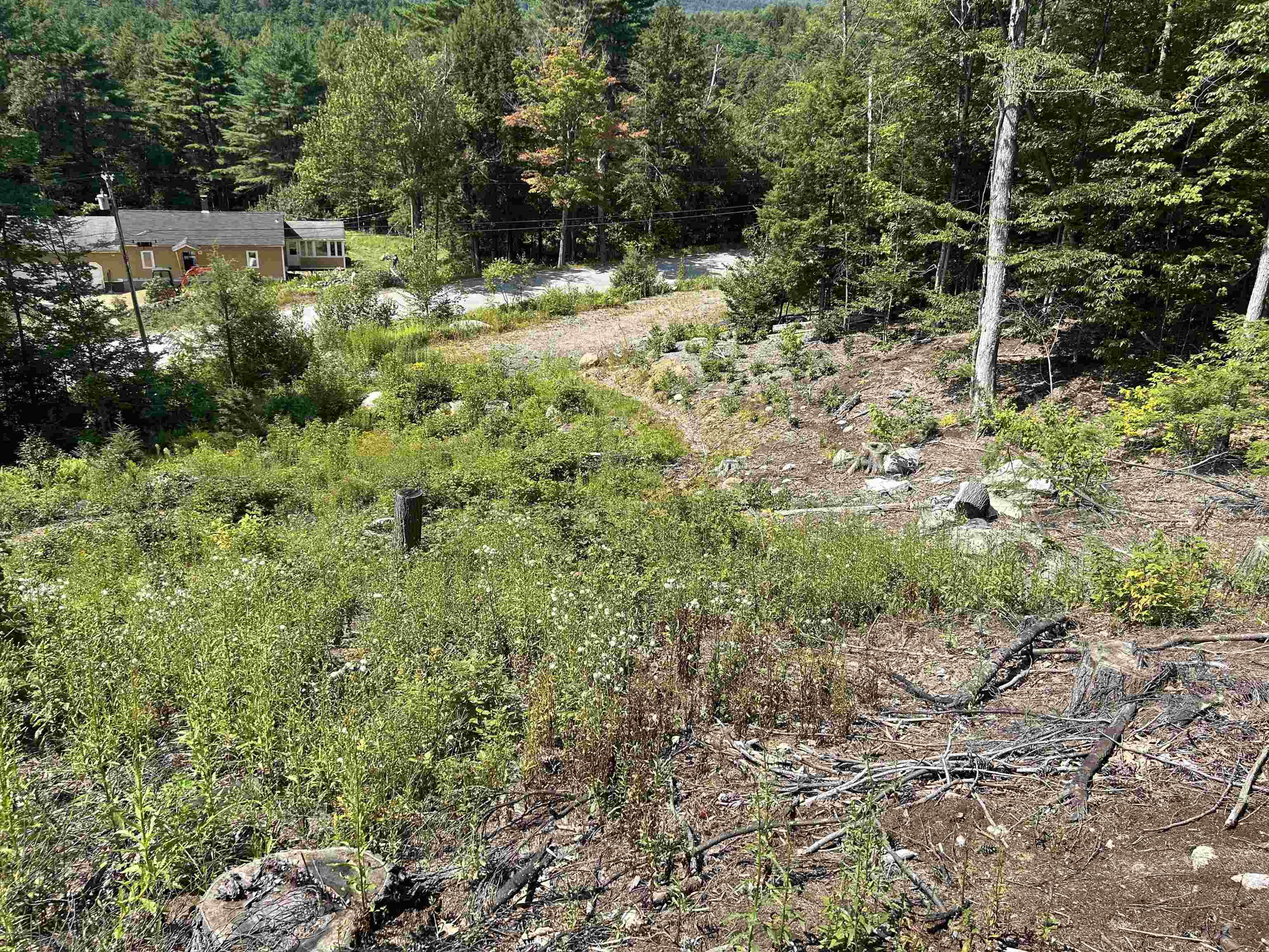 543 Thorn Hill Road