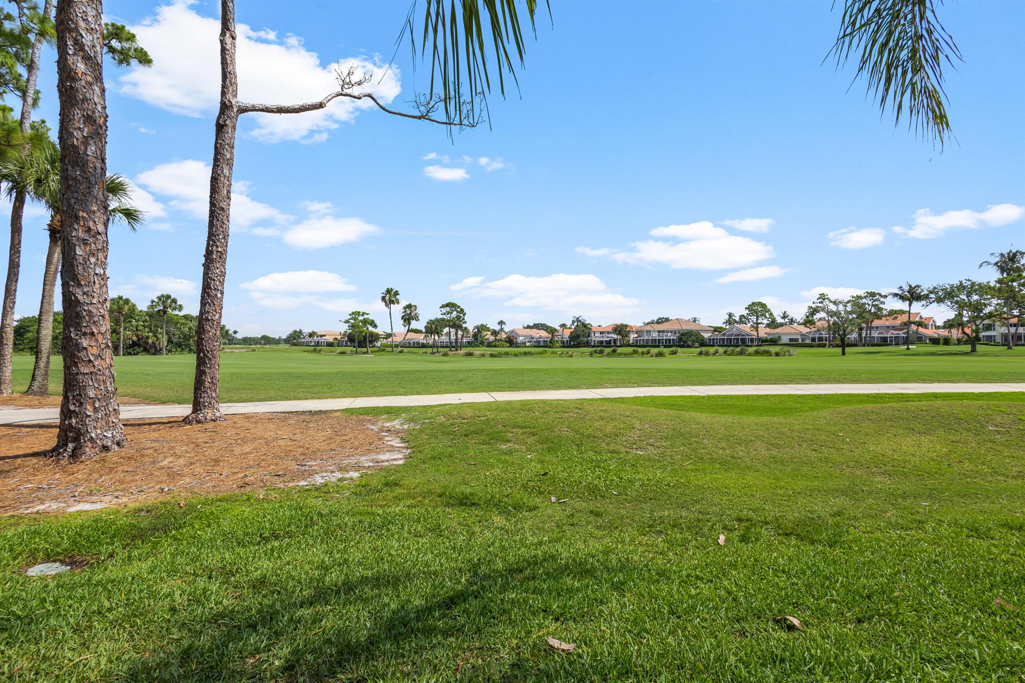 157 Eagleton Court