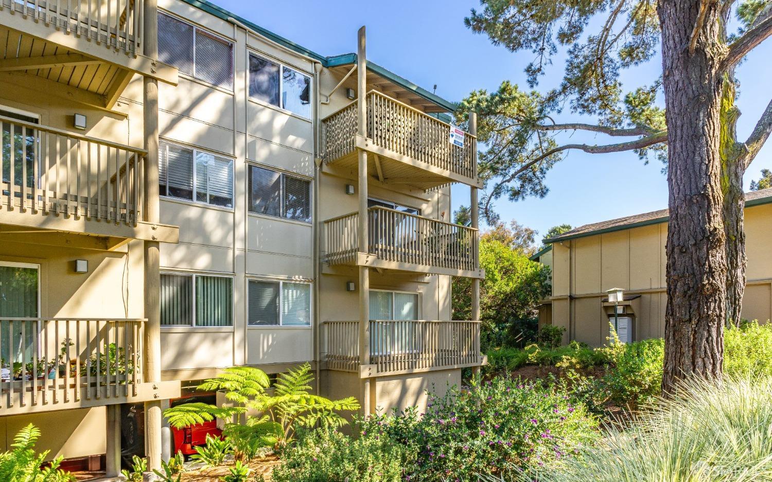 381 Half Moon Lane # 315