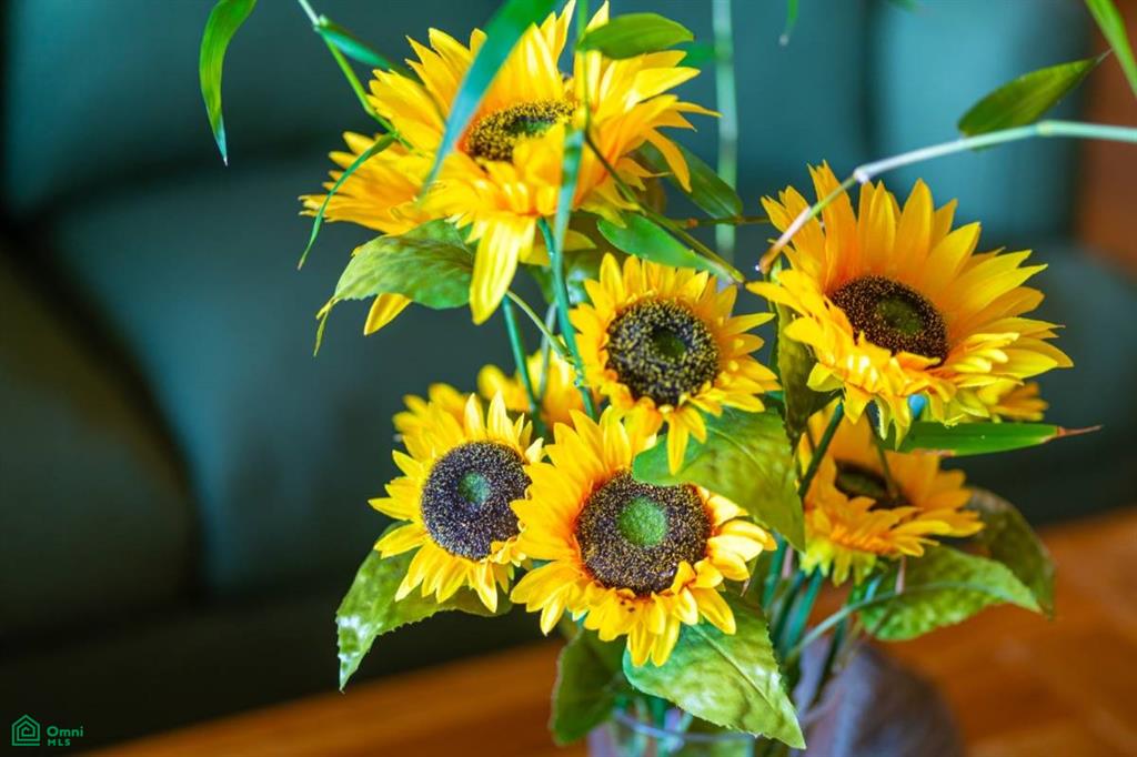 Luxury, Ocean View, Stunning Details on Calle Perezoso