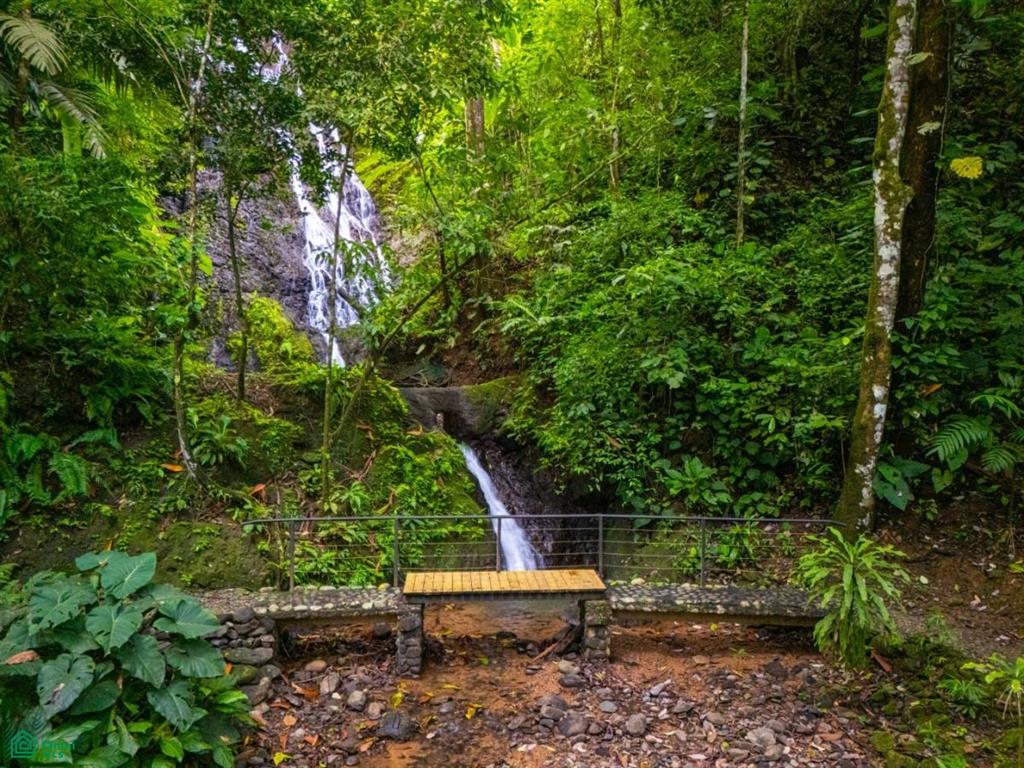tres rios , Puerto Cortés, Osa, Puntarenas