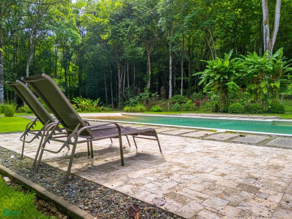 tres rios , Puerto Cortés, Osa, Puntarenas