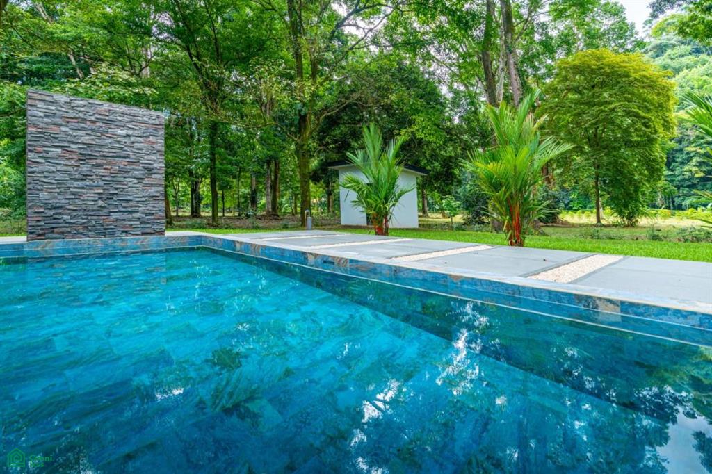 tres rios , Puerto Cortés, Osa, Puntarenas