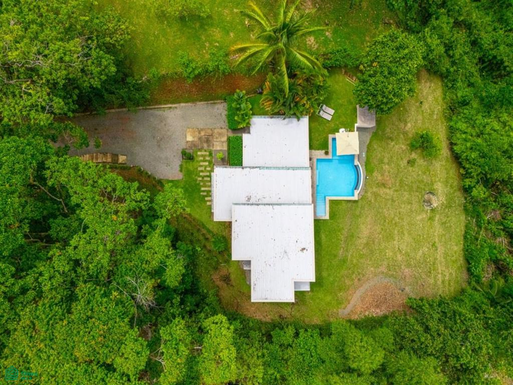 calle bejuca , Bahía Ballena, Osa, Puntarenas