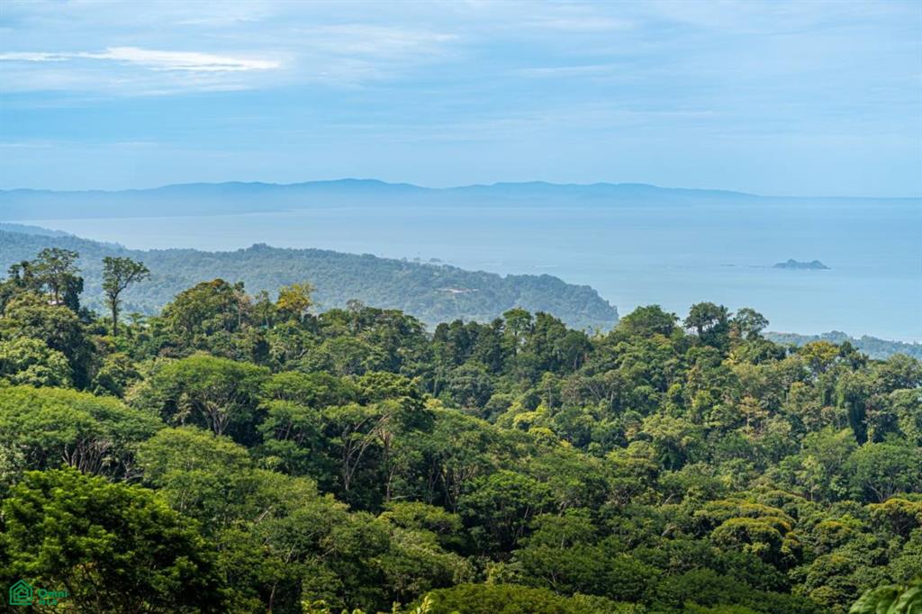 calle bejuca , Bahía Ballena, Osa, Puntarenas