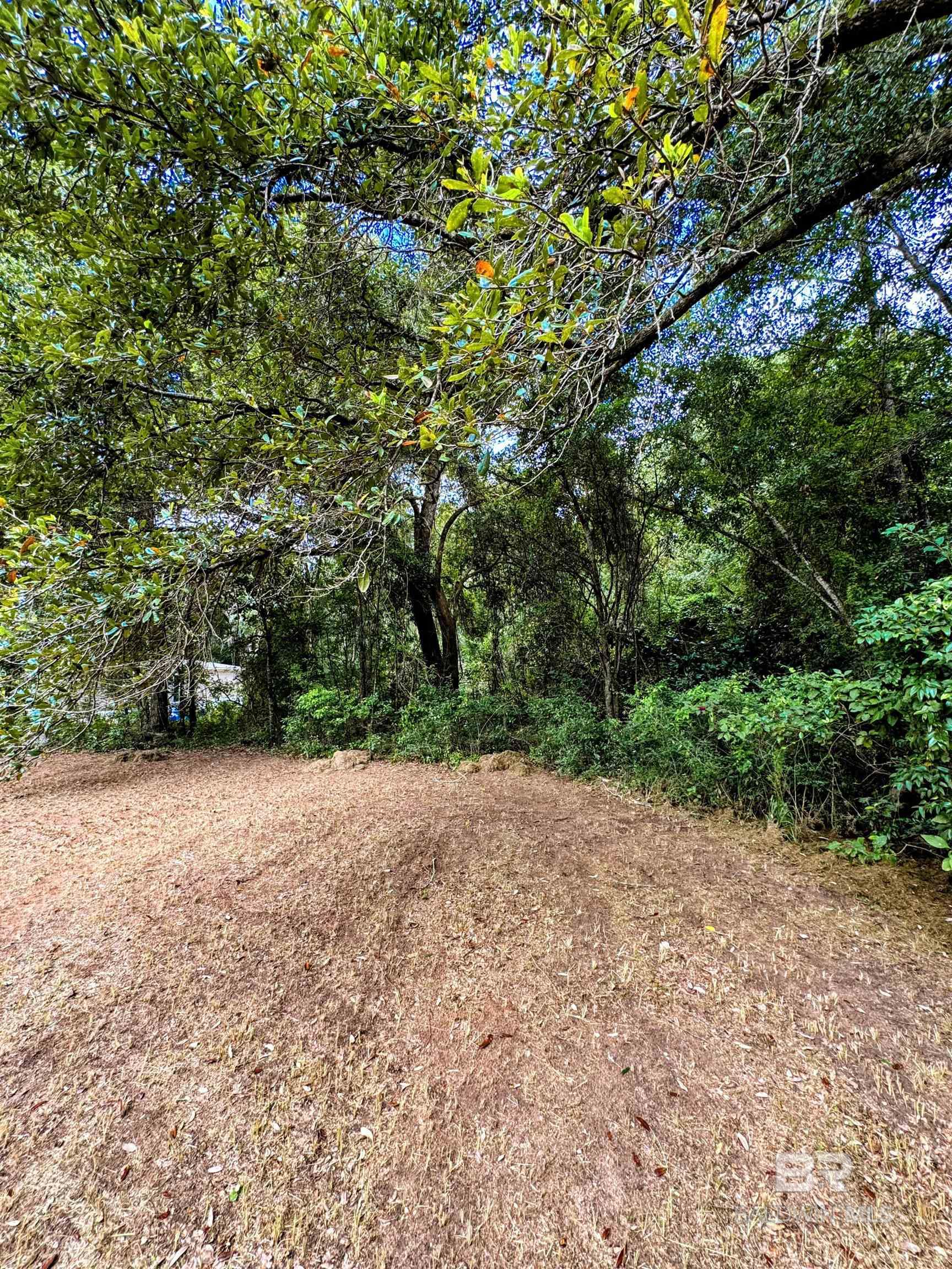 17671 Williams Lane