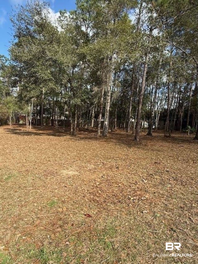 Bunker Loop