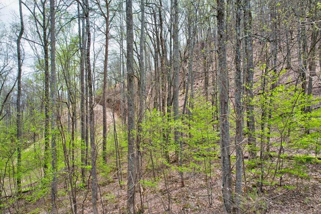 Land lots 12&13 Greystone Trace