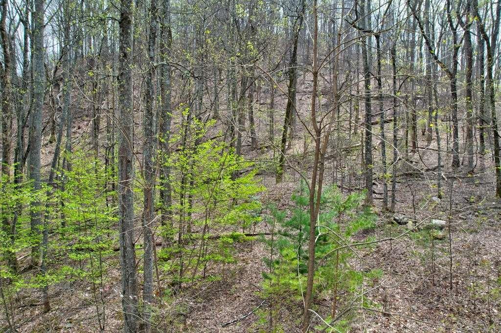 Land lots 12&13 Greystone Trace