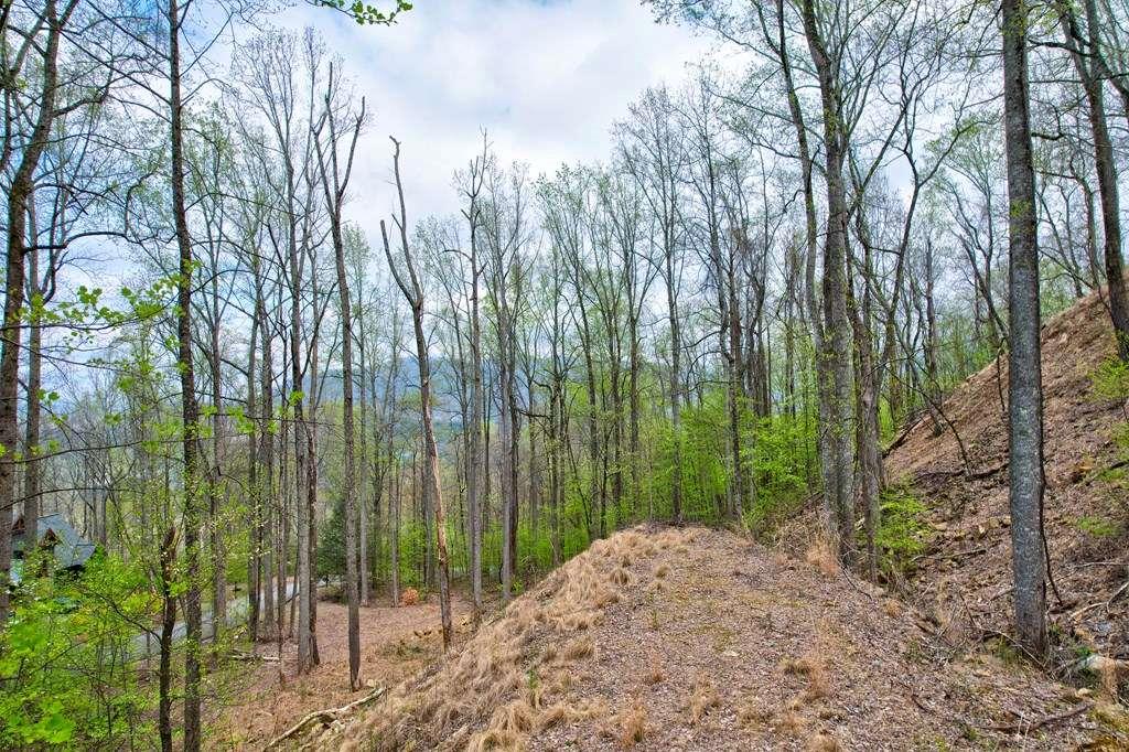 Land lots 12&13 Greystone Trace