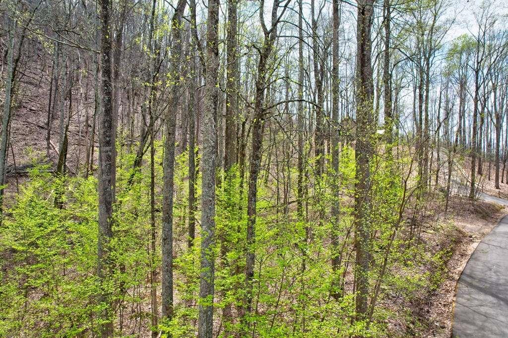 Land lots 12&13 Greystone Trace