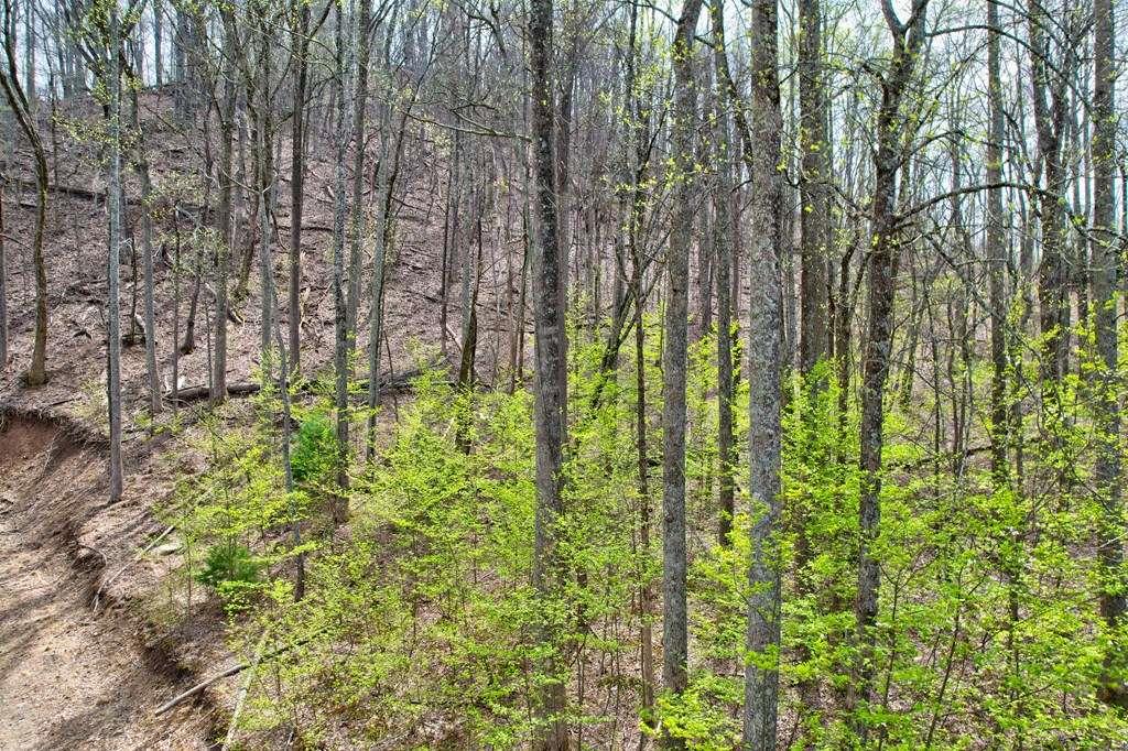 Land lots 12&13 Greystone Trace