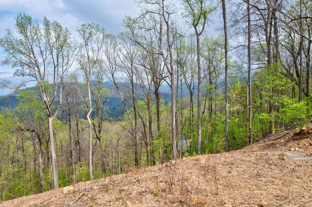 Land lots 12&13 Greystone Trace