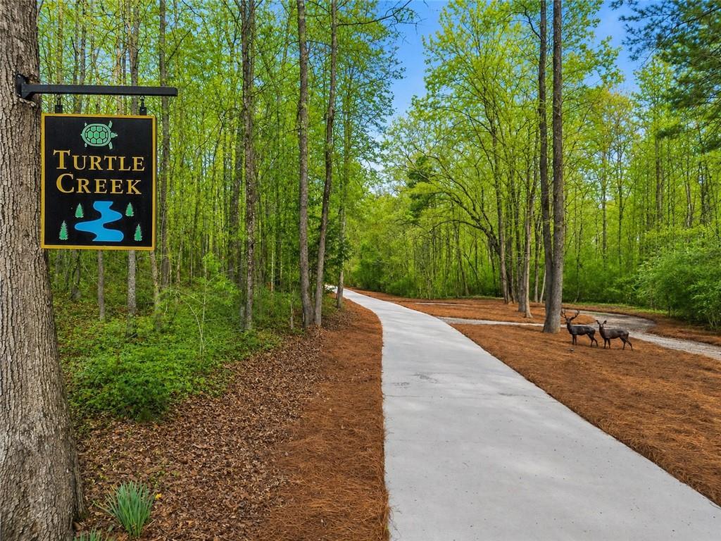 2995 Gum Creek Road