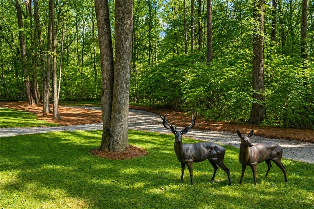 2995 Gum Creek Road