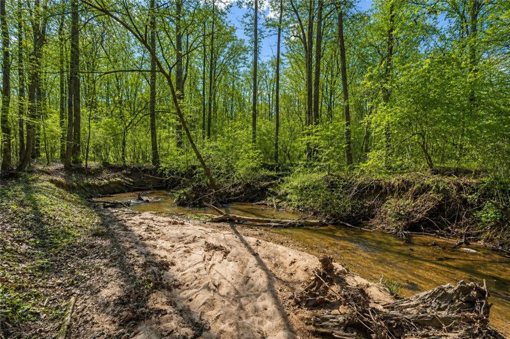 2995 Gum Creek Road