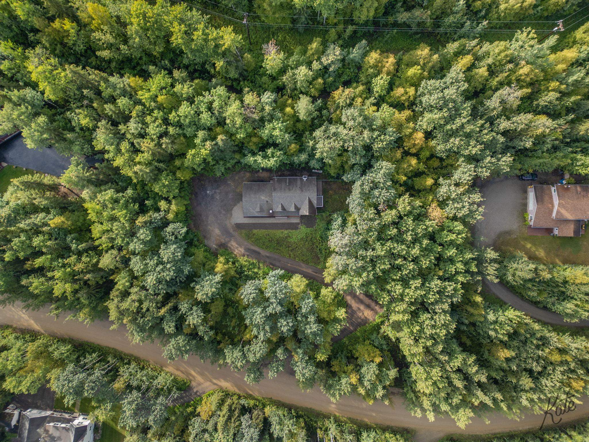 Aerial view of a house tucked among dense trees, with a curved driveway and dirt road.