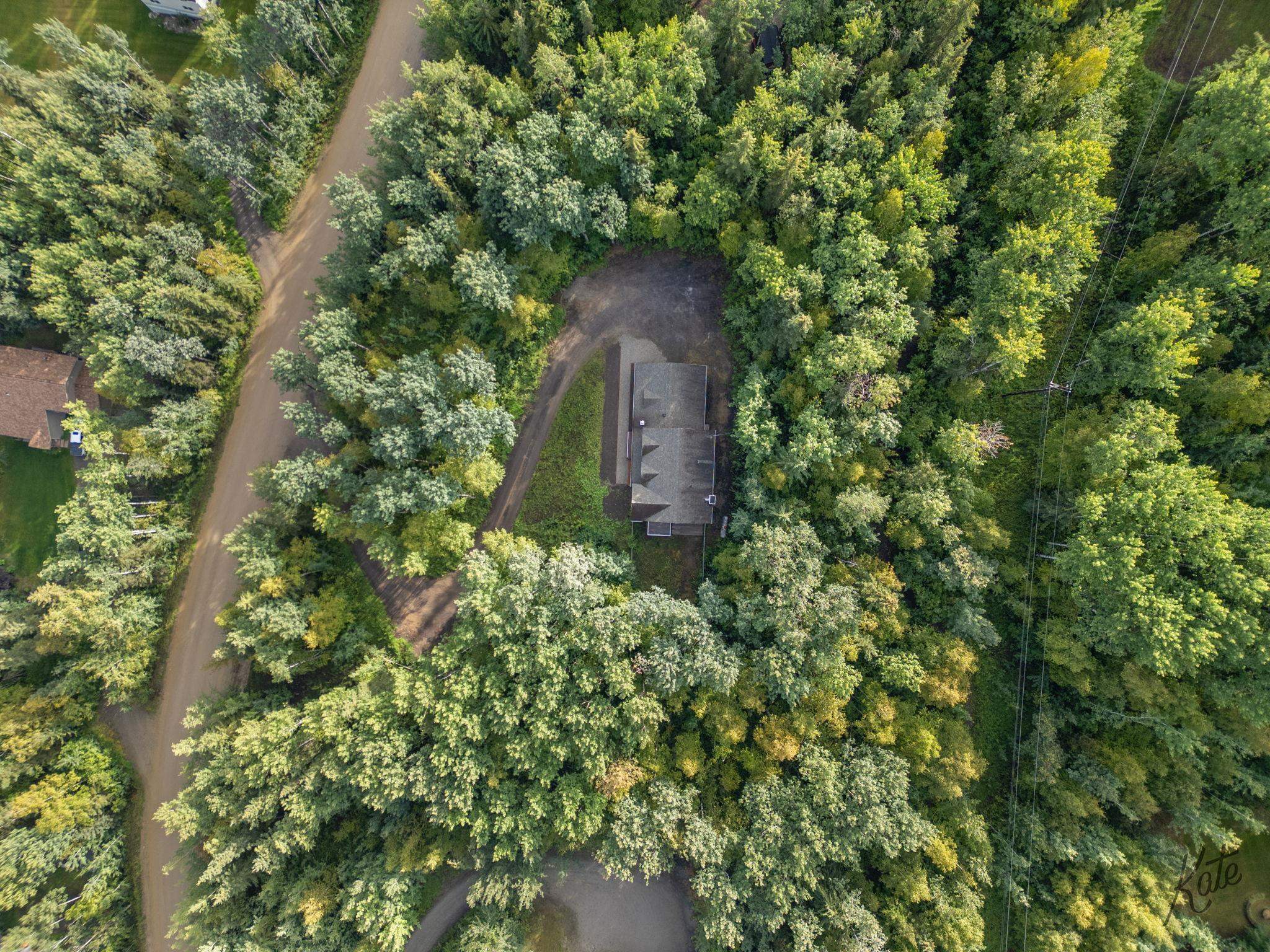 Aerial view of a gray-roofed house nestled among dense trees beside a dirt road.