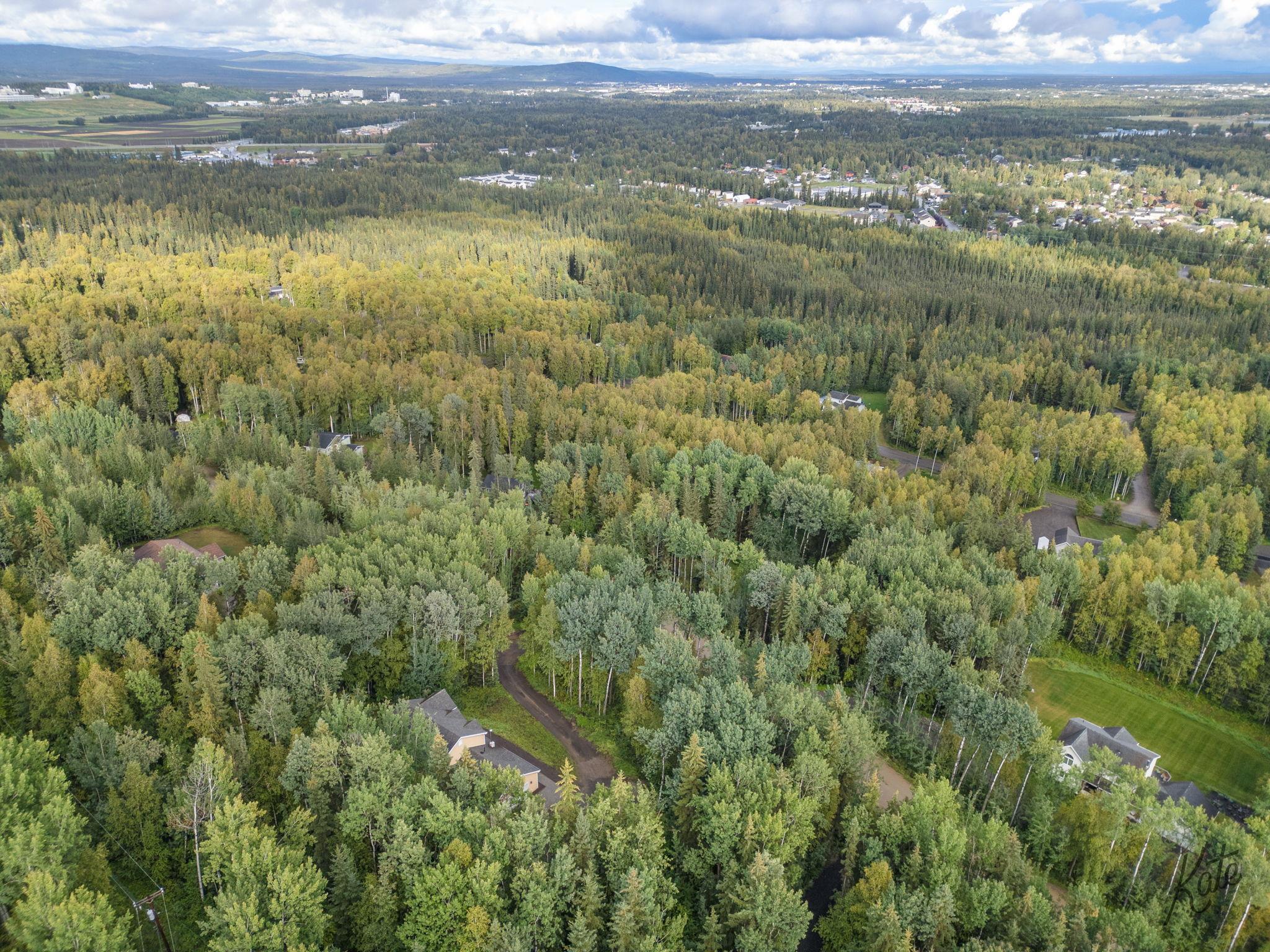 Aerial view of homes and winding roads scattered through autumn-colored woodland.