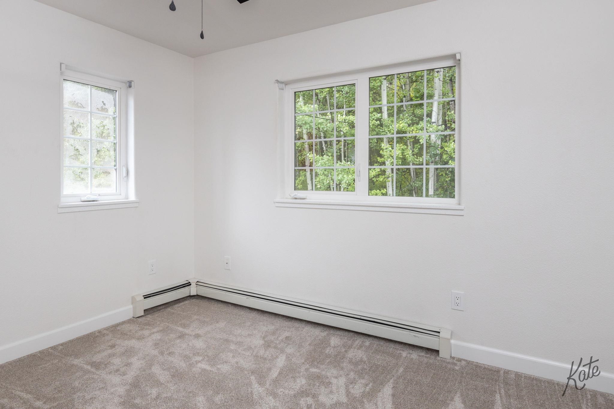 Empty carpeted room with two windows overlooking leafy trees and baseboard heaters.