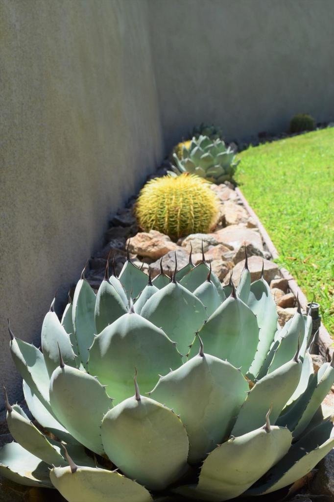 51225 Avenida Ramirez