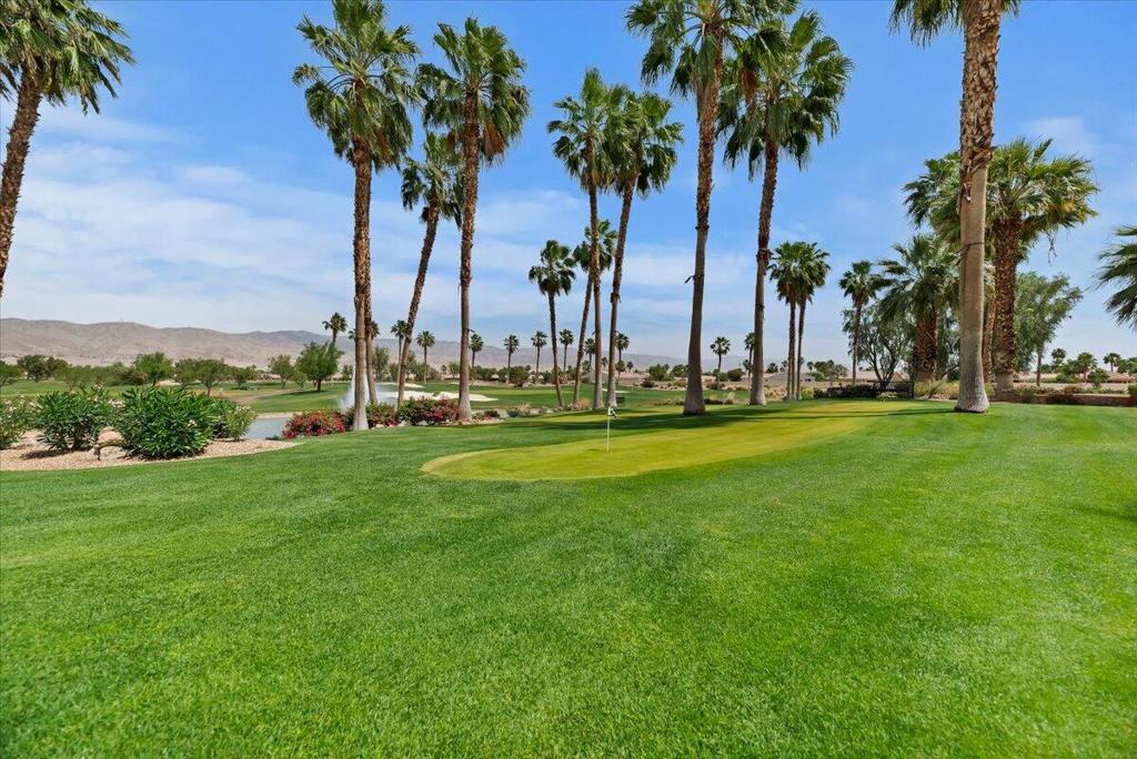 81916 Avenida Del Toro