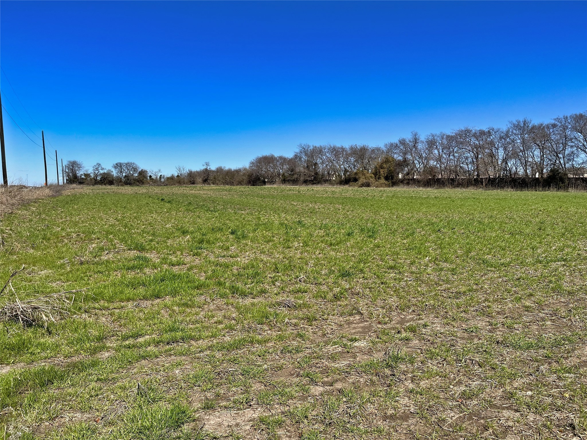 TBD Central Expressway