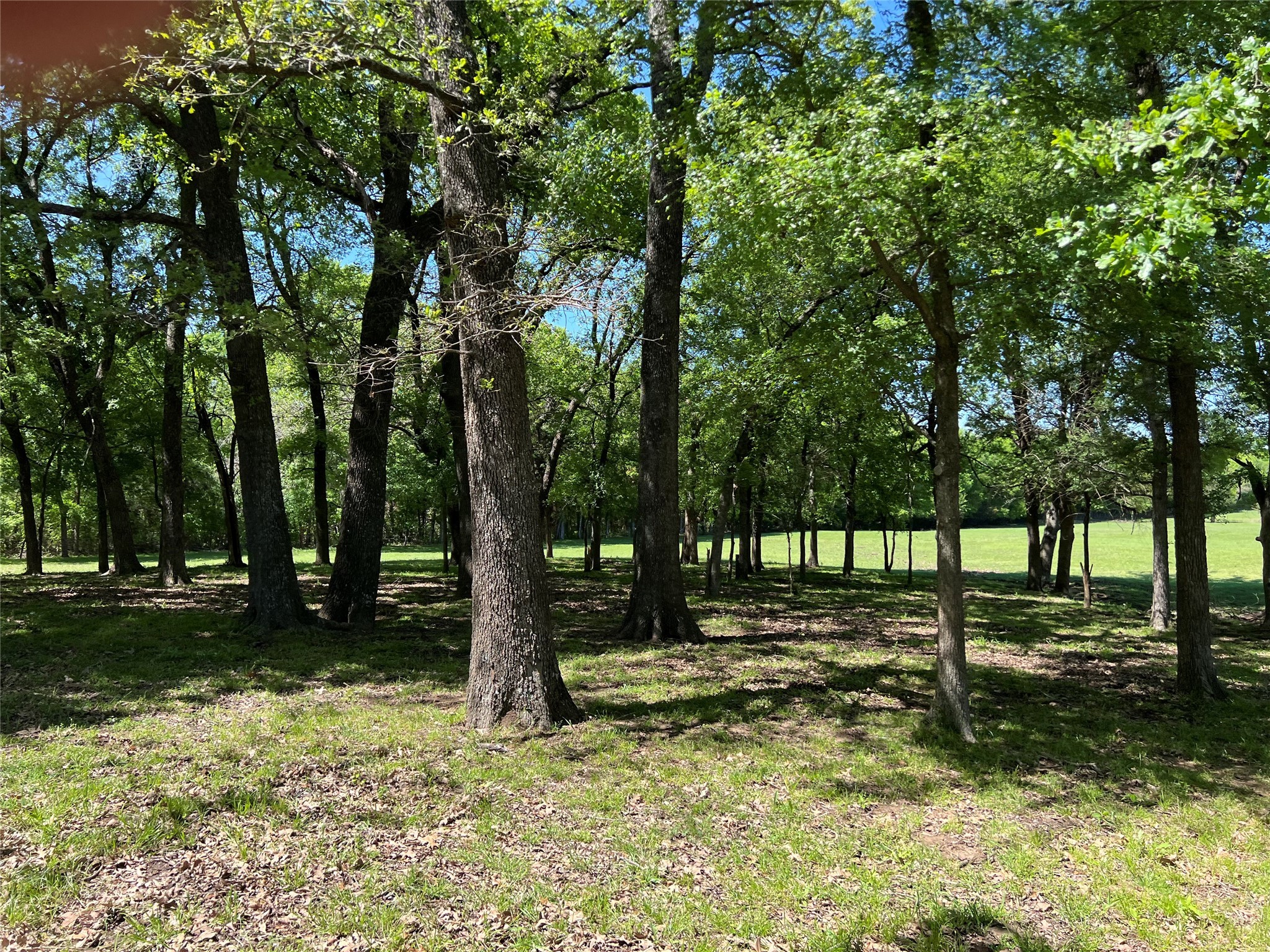 1200 County Road 1500