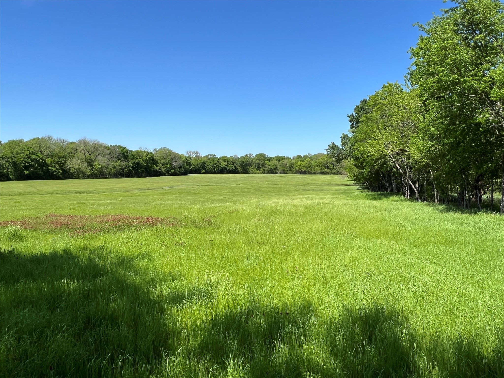 1200 County Road 1500