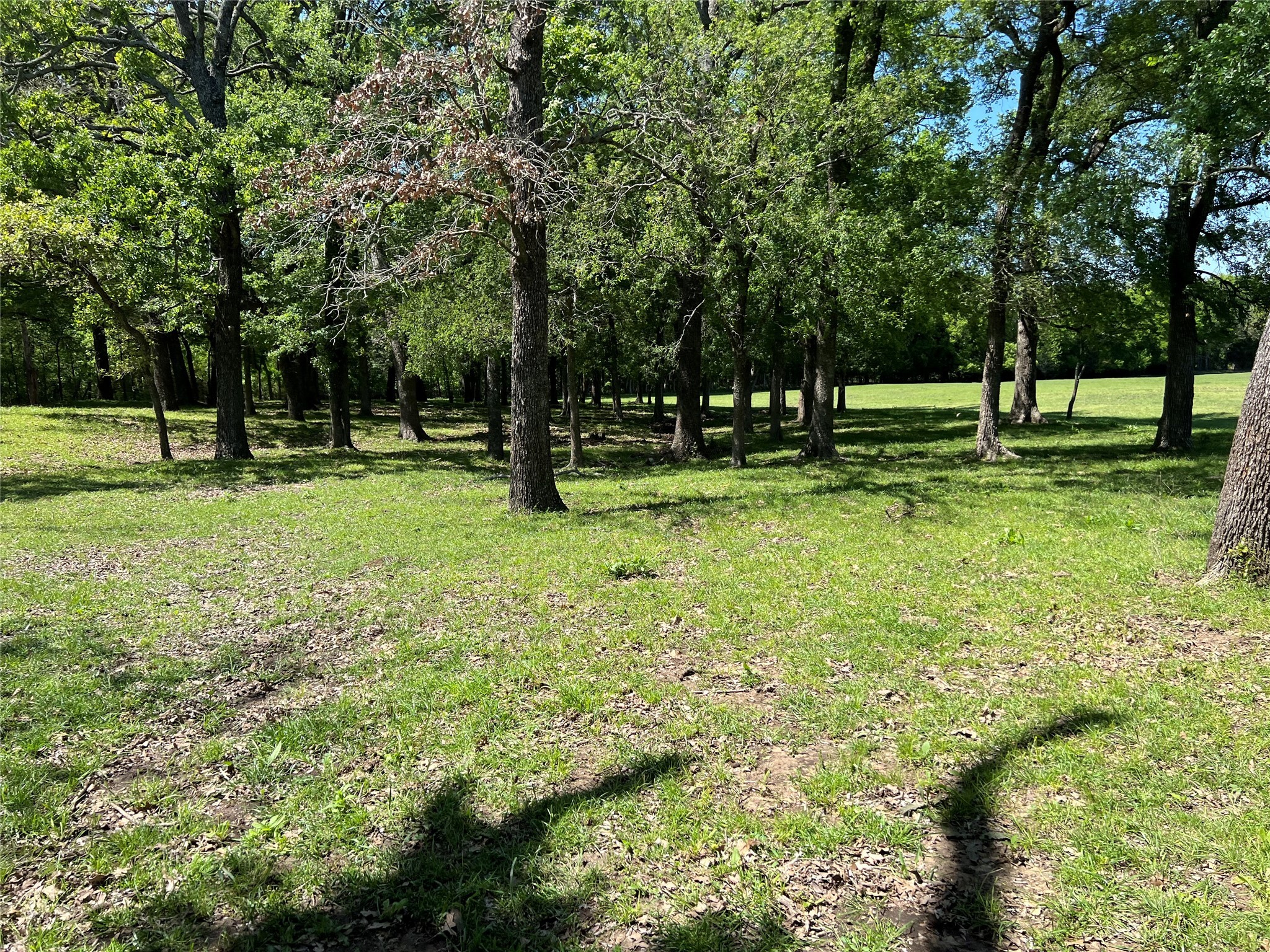 1200 County Road 1500