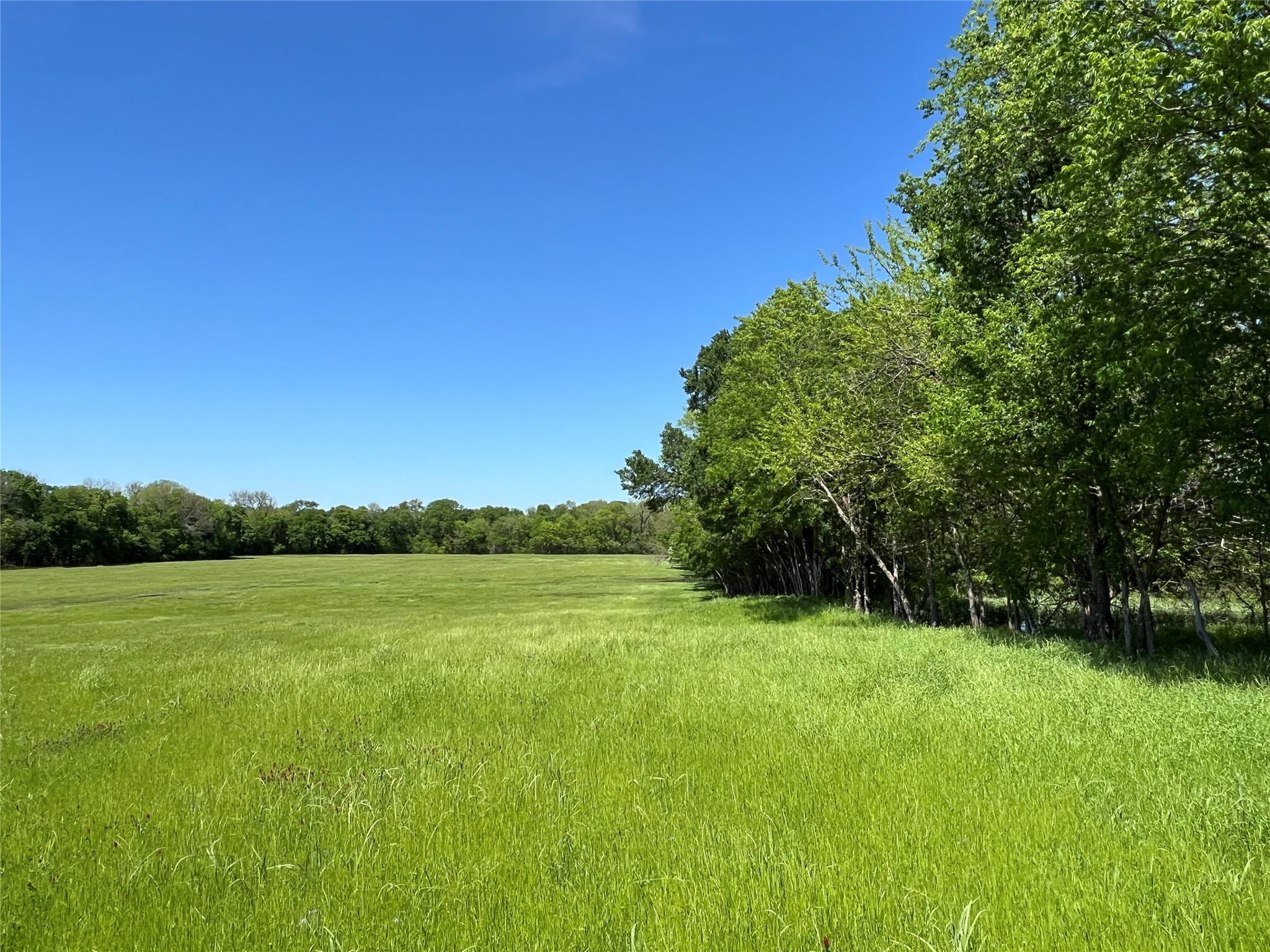 1200 County Road 1500