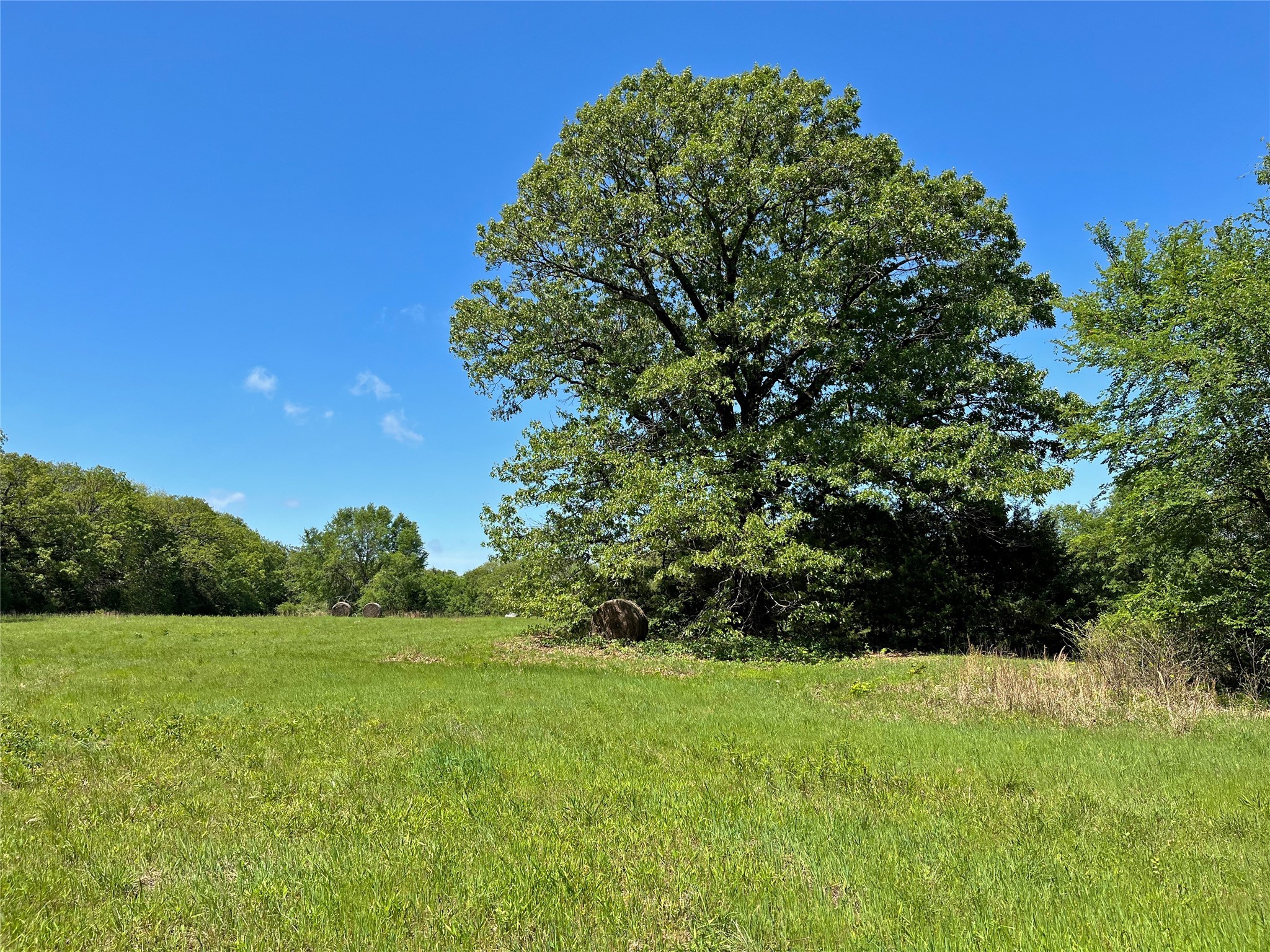 TBD County Road 2025