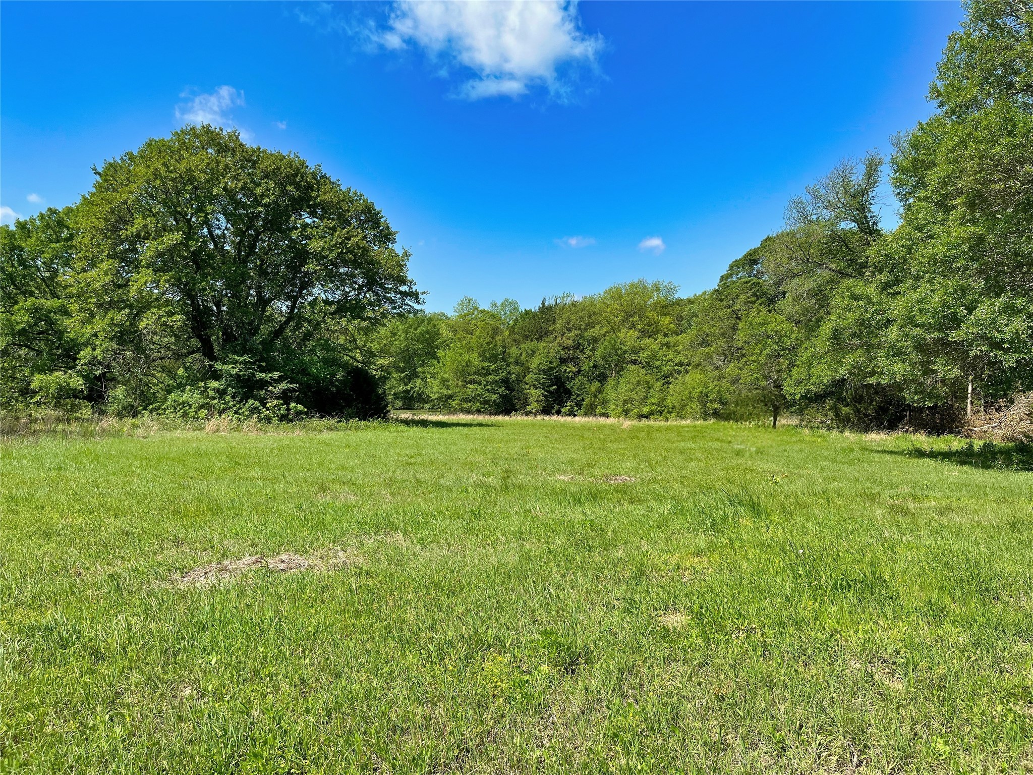 TBD County Road 2025
