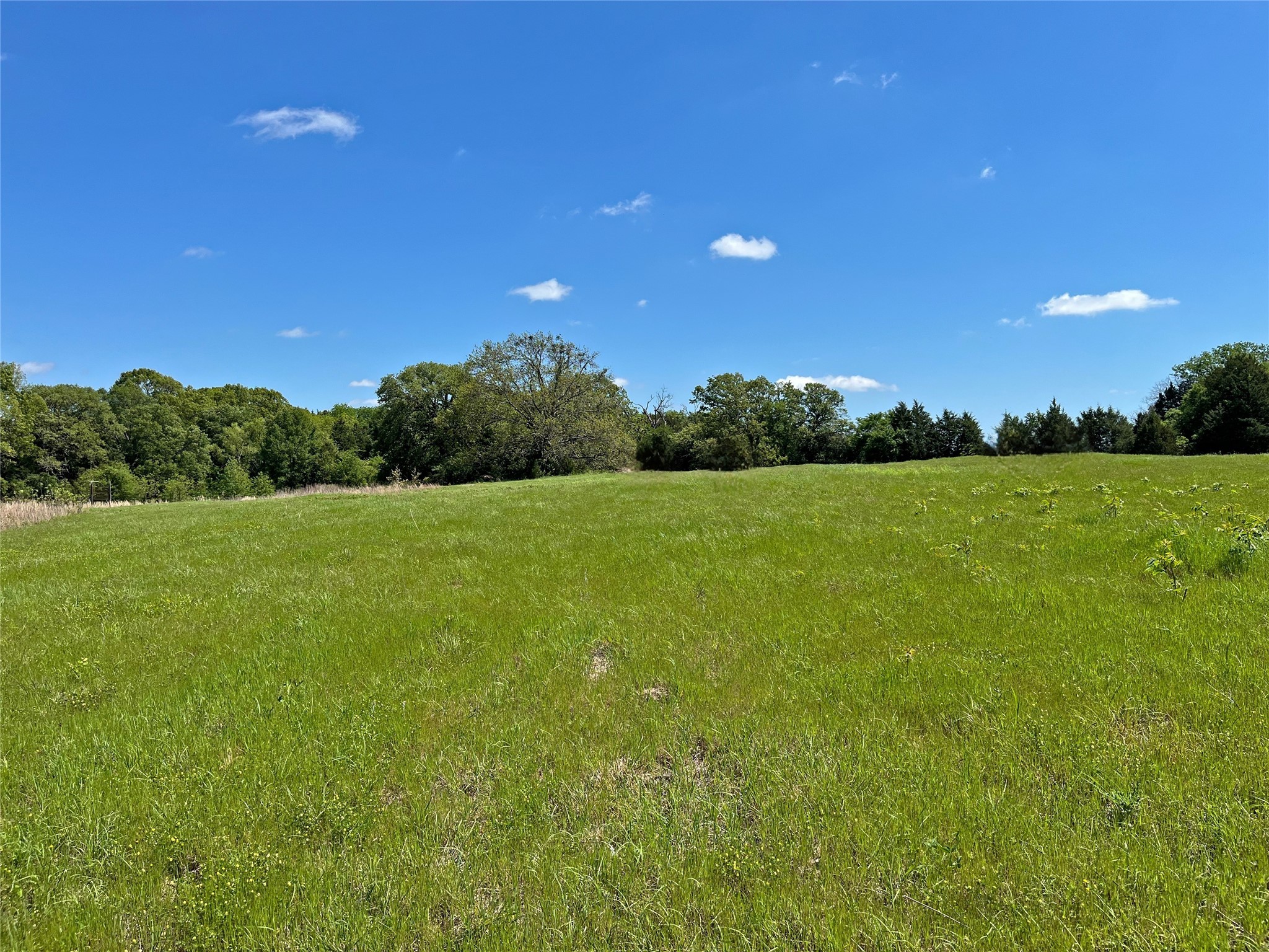 TBD County Road 2025