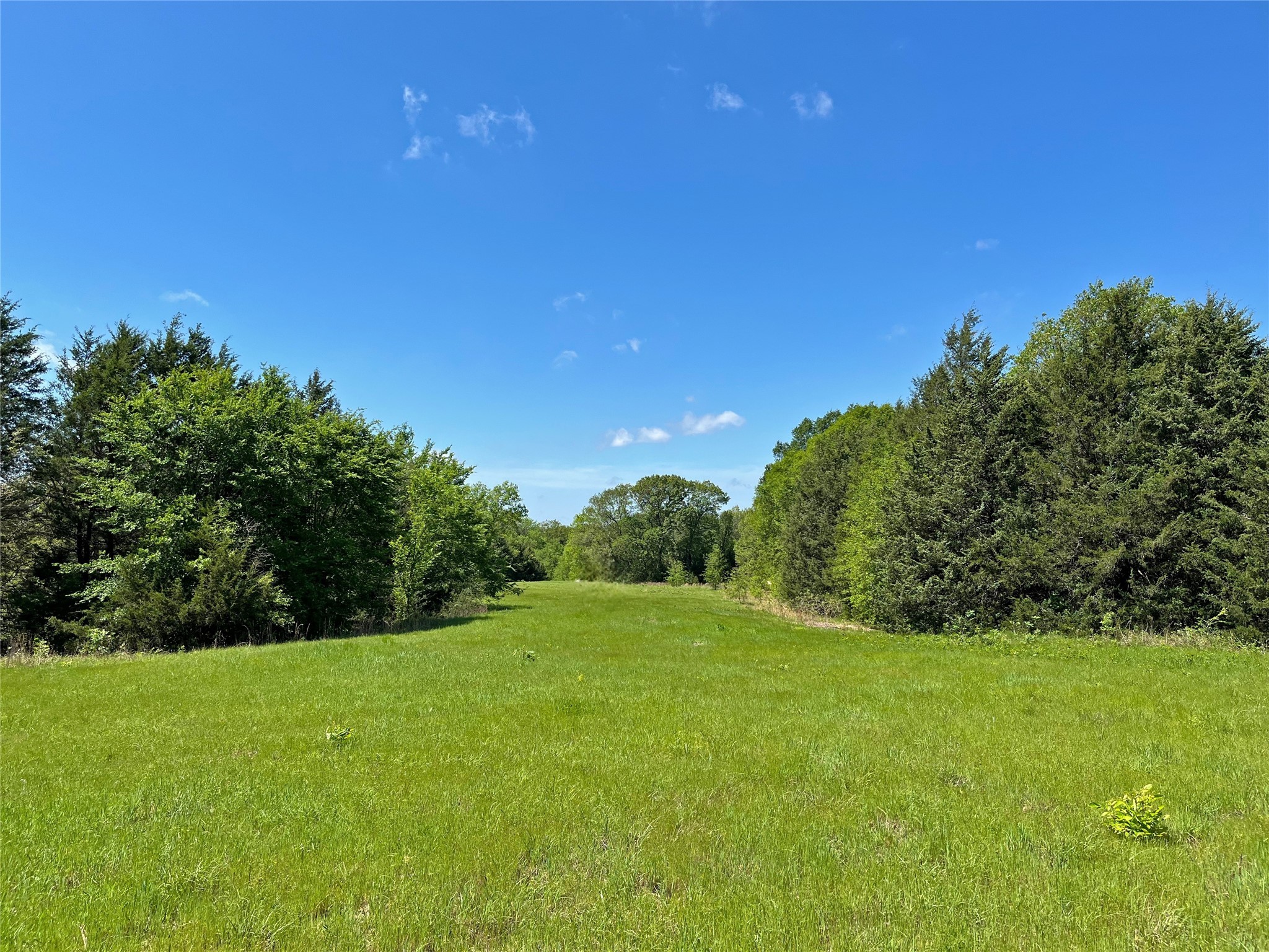 TBD County Road 2025