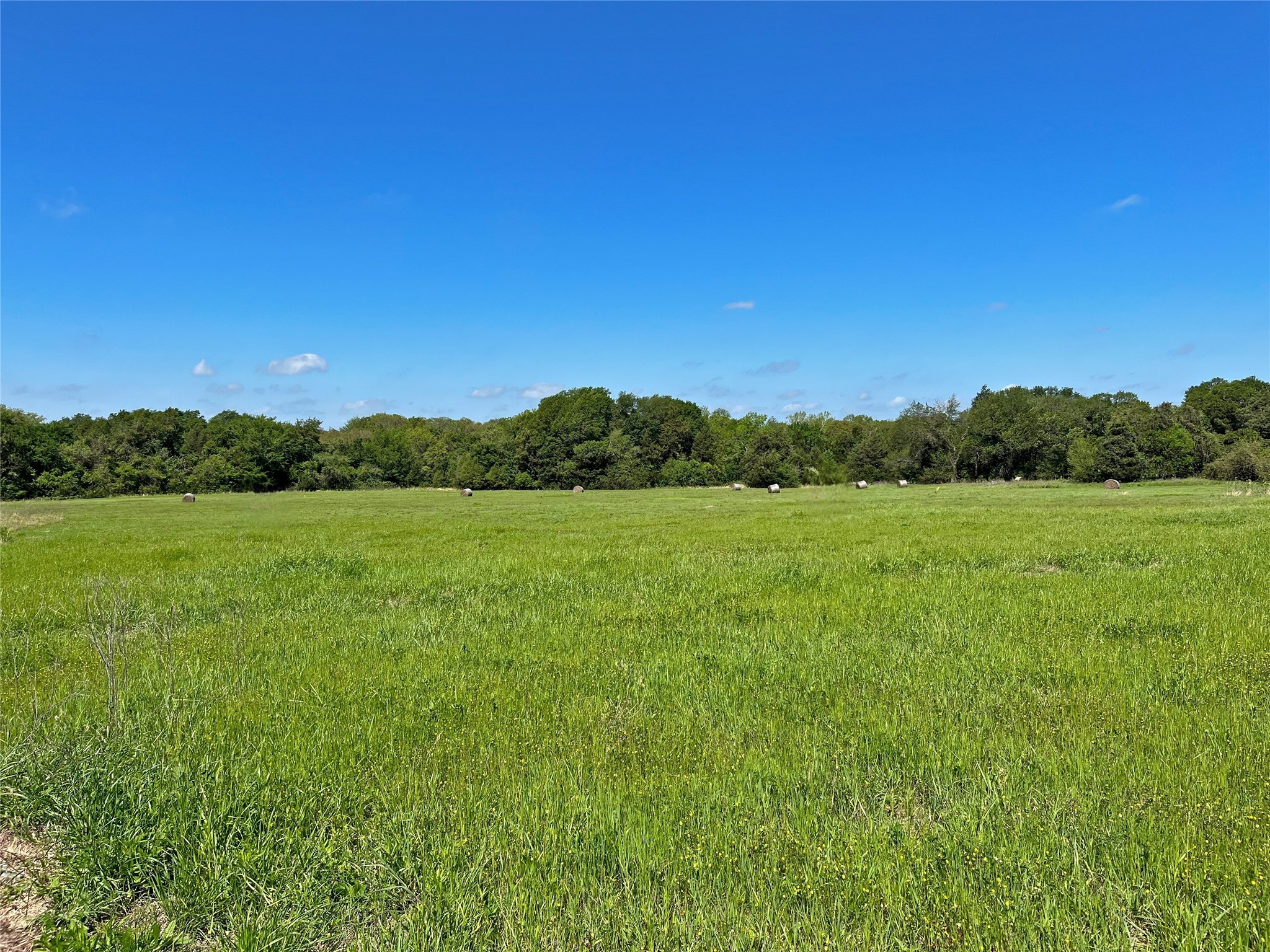 TBD County Road 2025