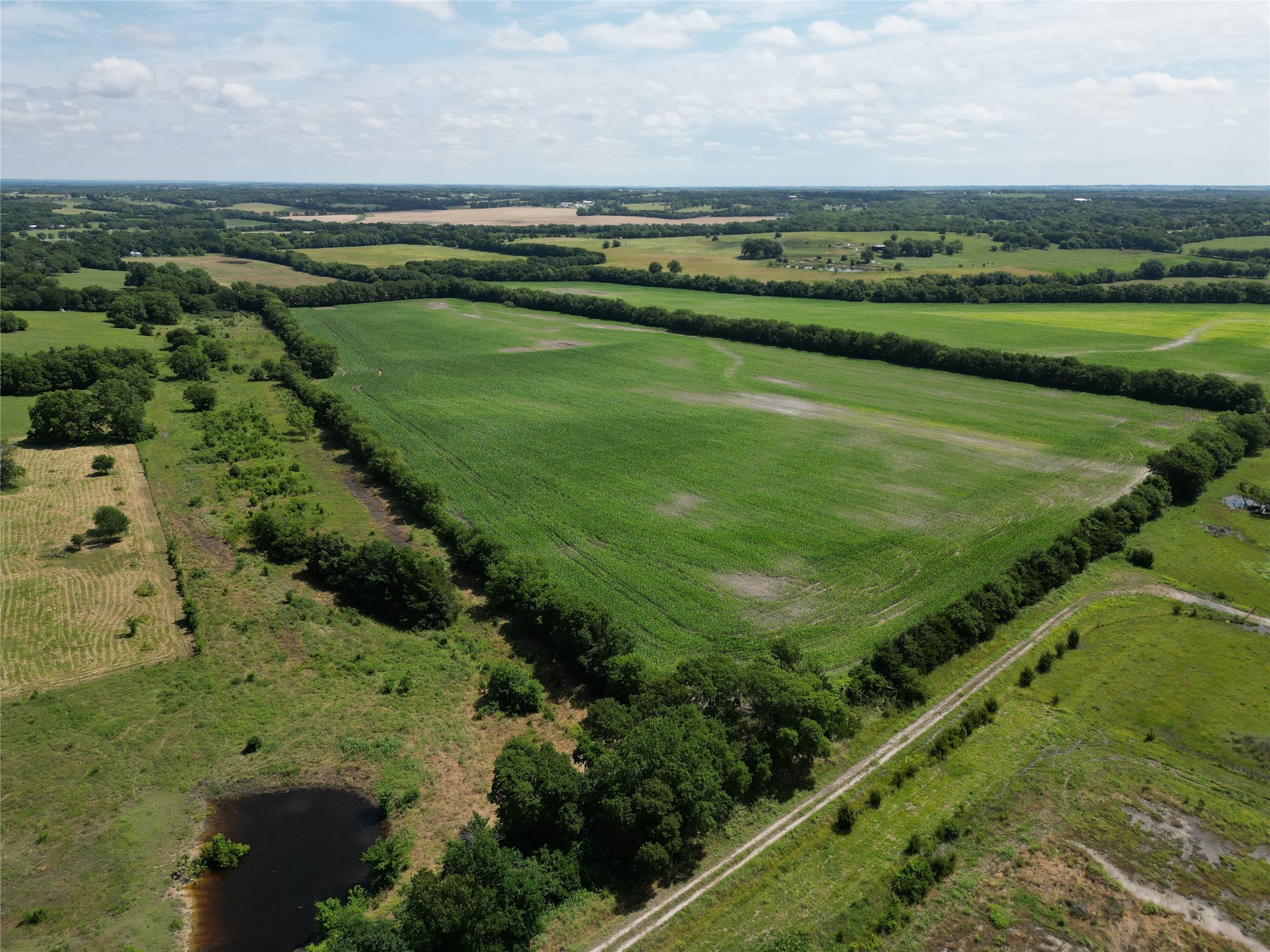 001 Hwy 11 & Hall Rd.