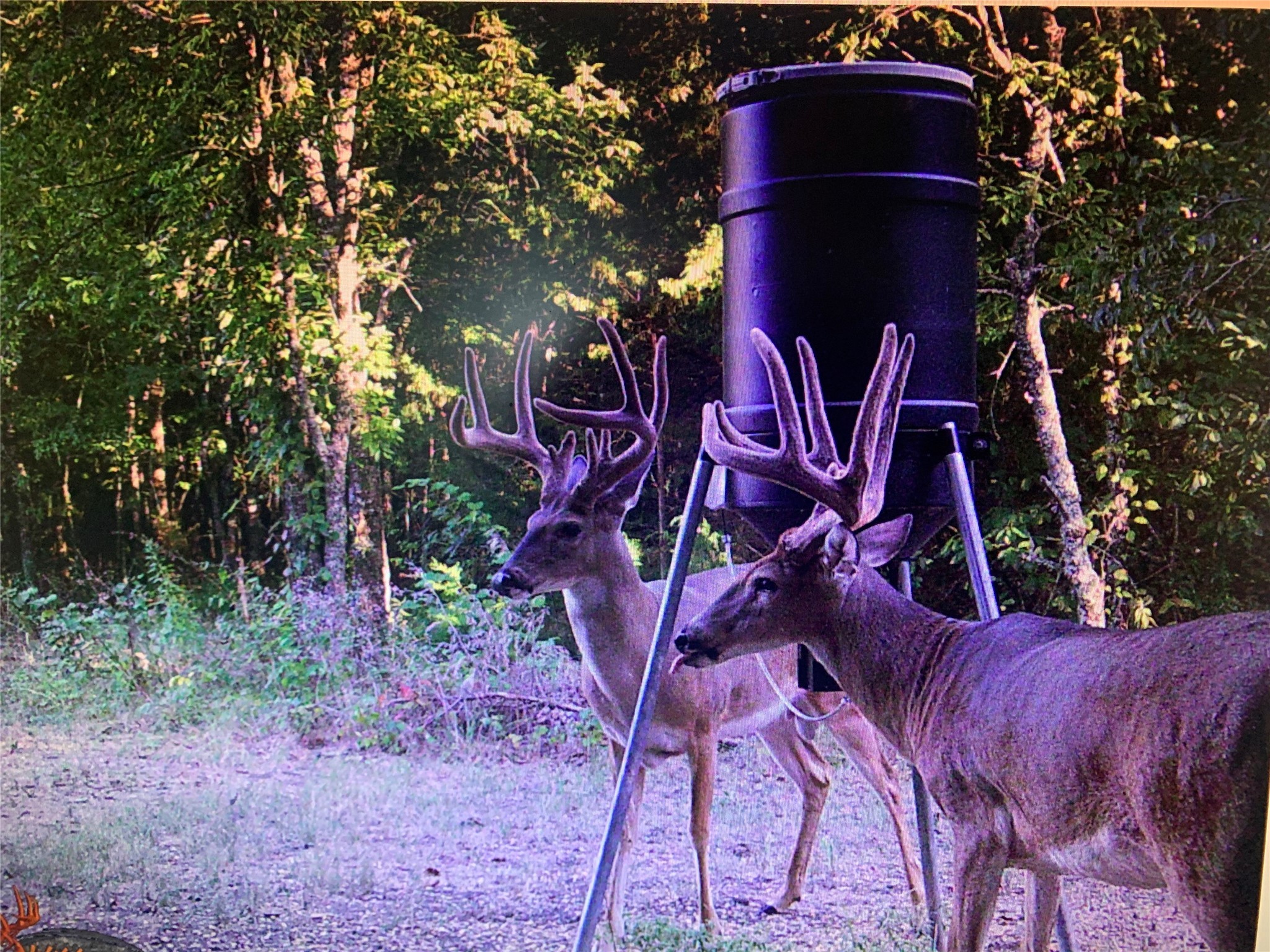 614 County Road 4425