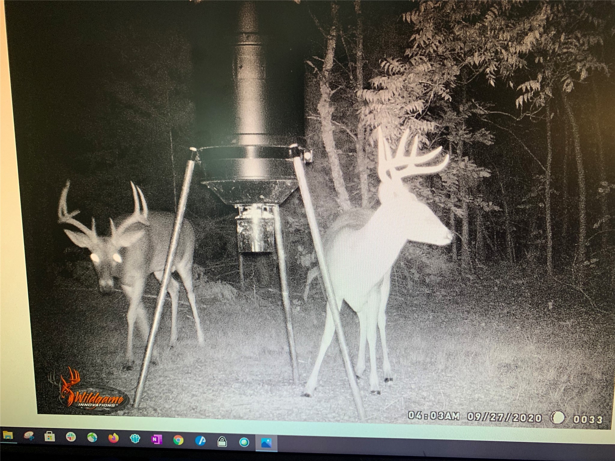 614 County Road 4425