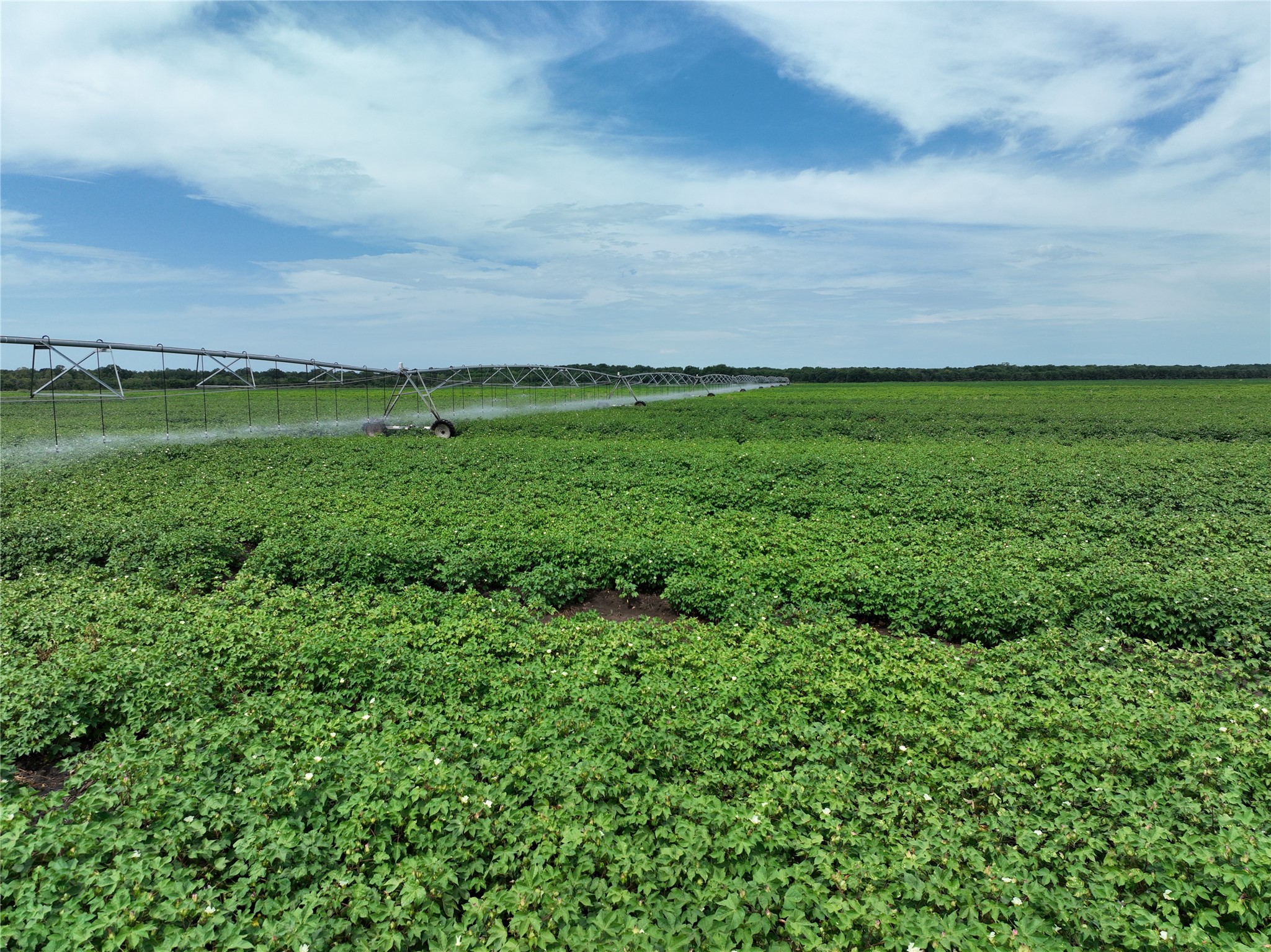 TBD County Road 3302